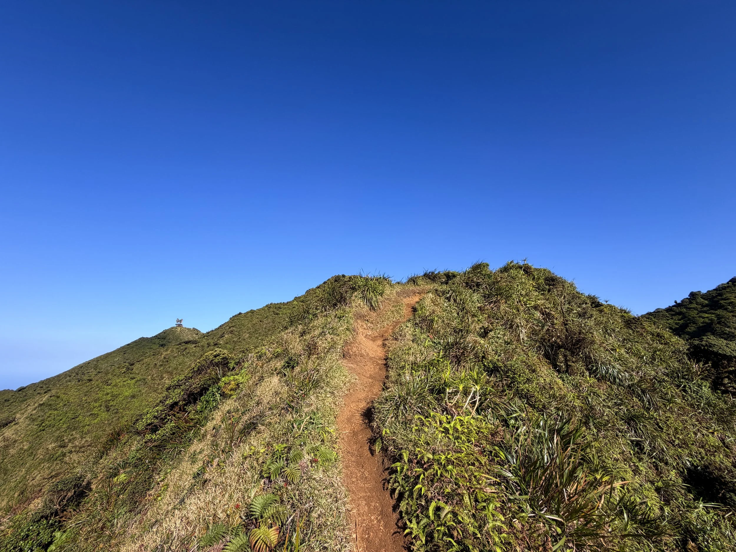 Moanalua Middle Ridge Trail to Stairway to Heaven Oahu Hawaii