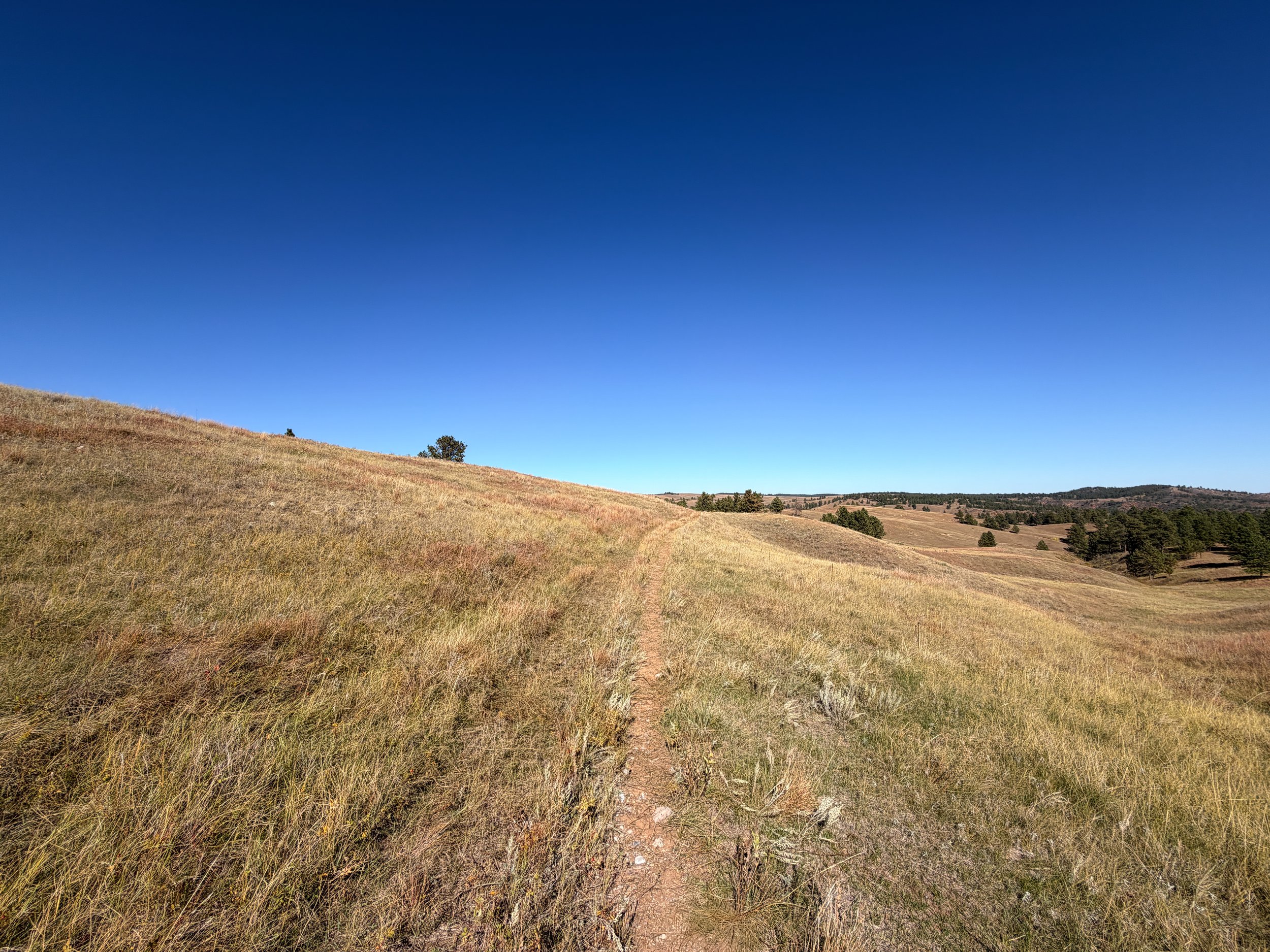 East Bison Flats Trail Wind Cave National Park South Dakota