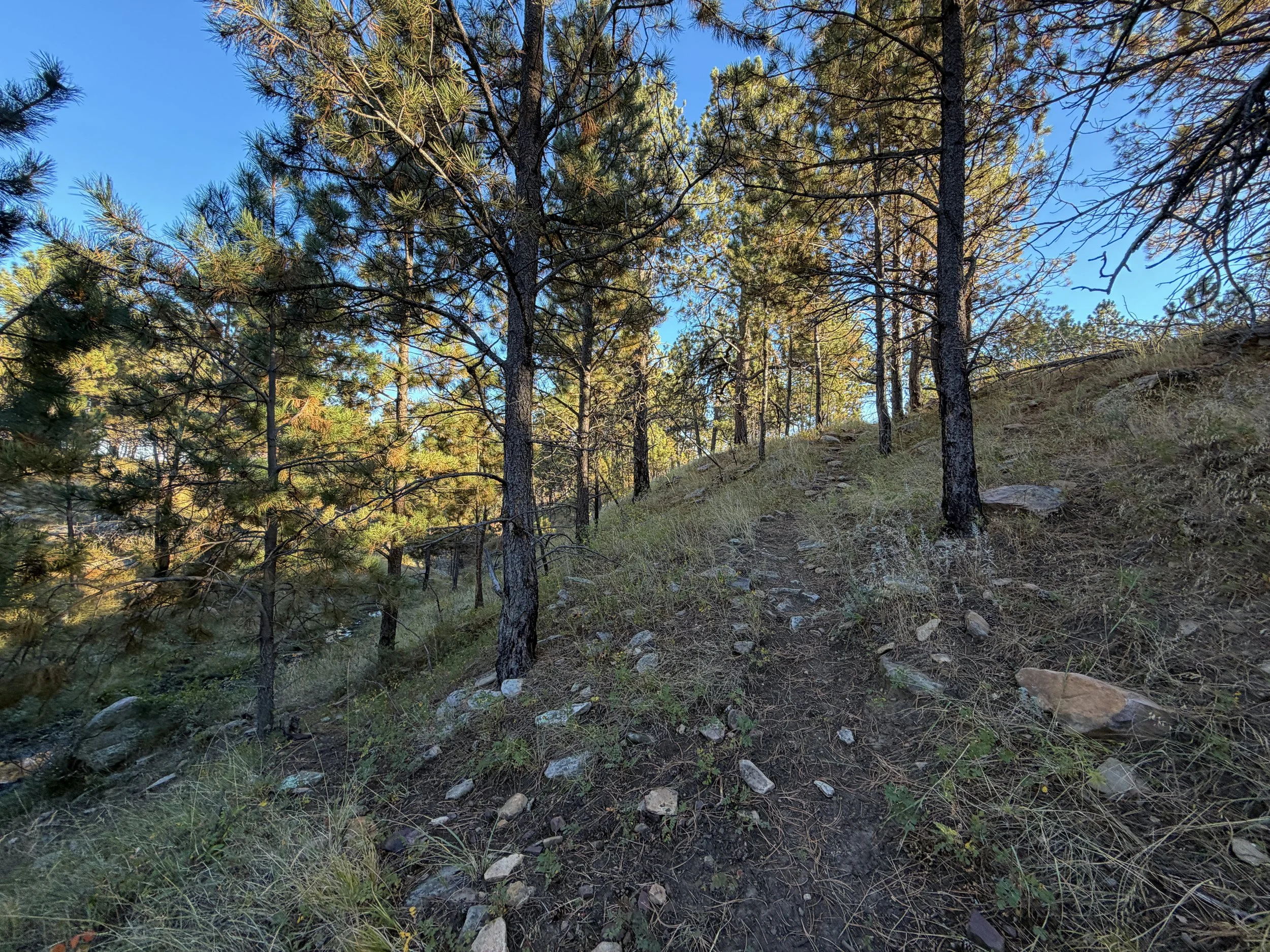 Boland Ridge Trail Wind Cave National Park South Dakota