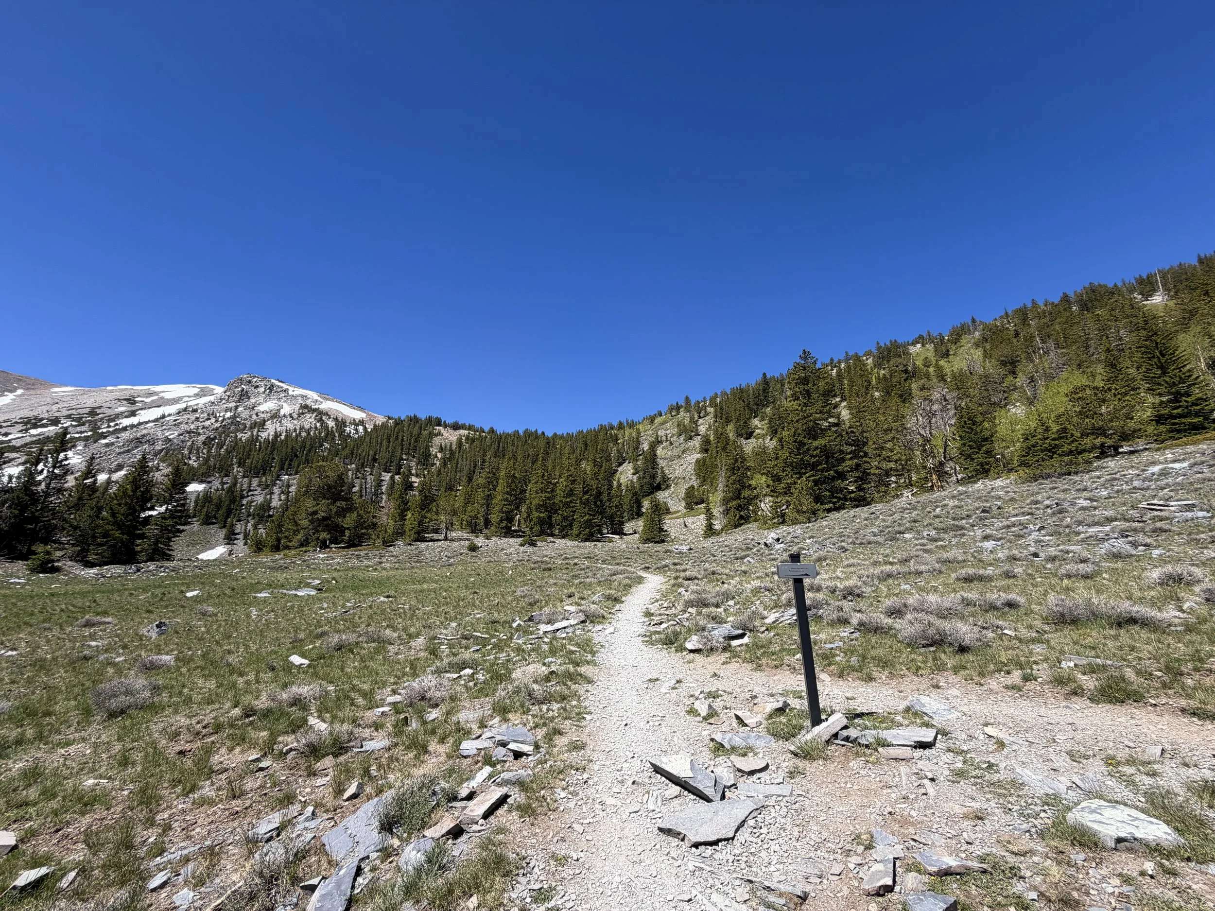 Wheeler Peak Trail Great Basin National Park Nevada