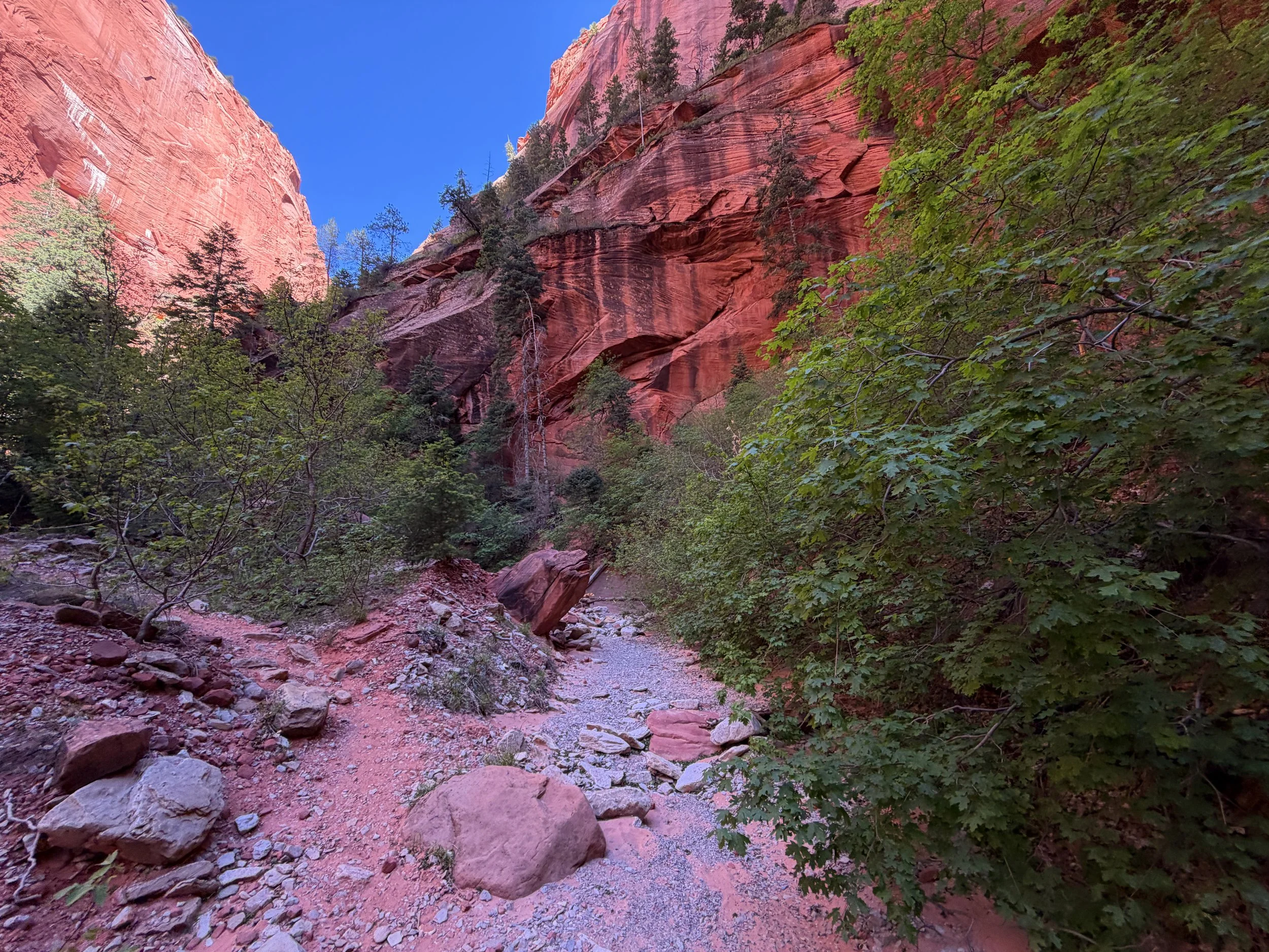 Taylor Creek Trail Zion National Park Utah