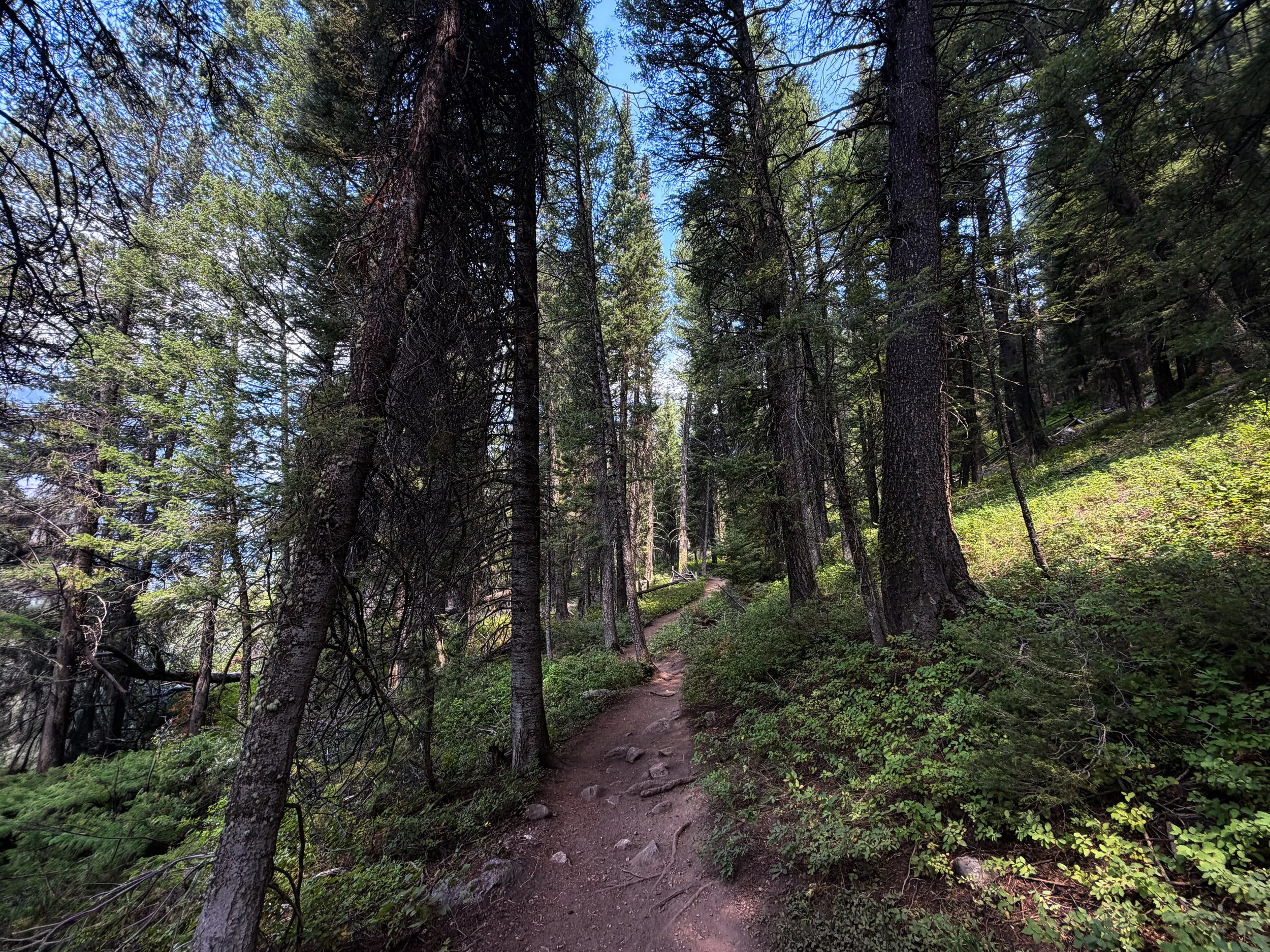 Phelps Lake Loop Trail to Cliff Jumping Rock Grand Teton National Park Wyoming
