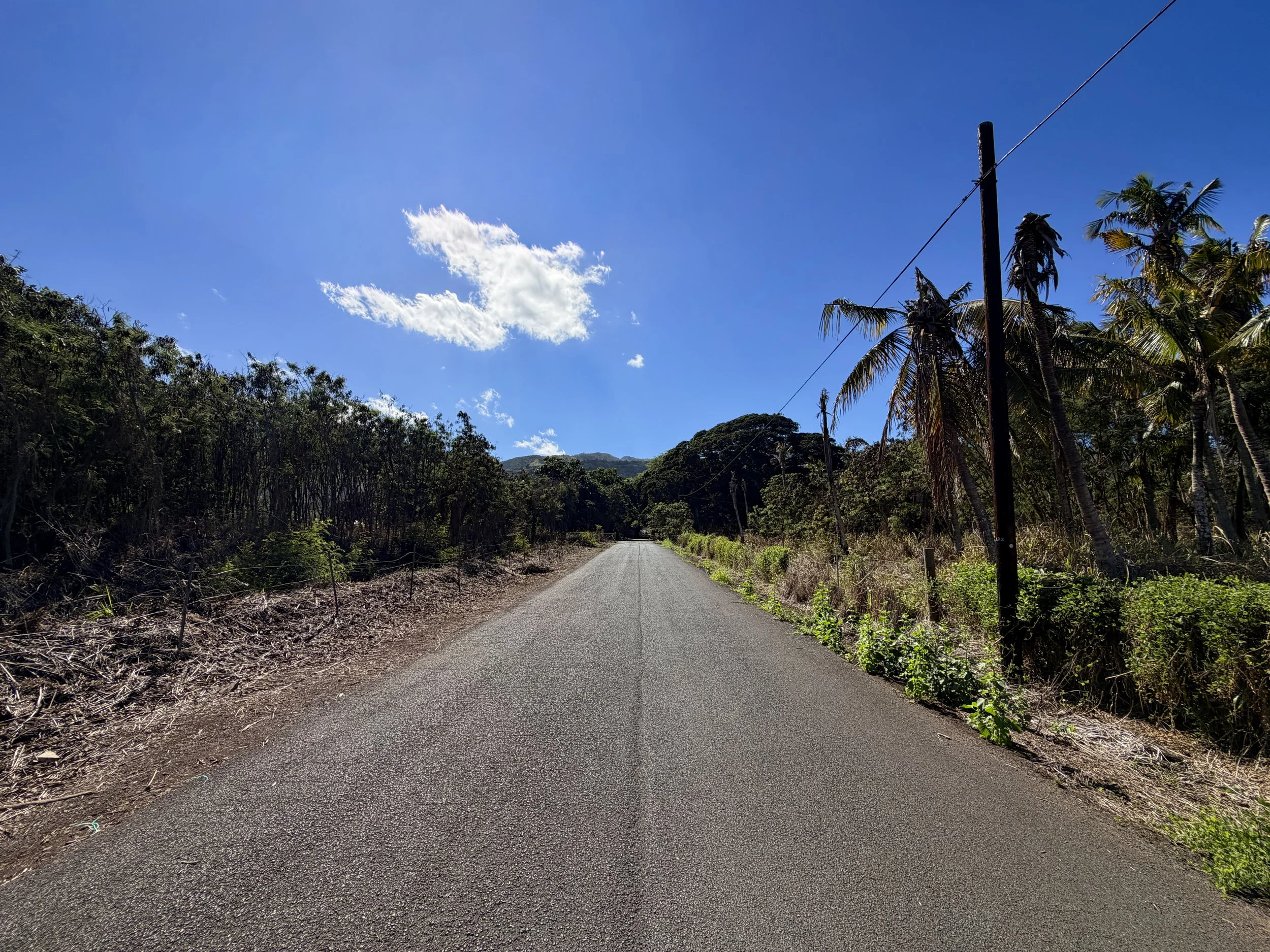 Mokuleia Forest Reserve Access Road Trail Oahu Hawaii
