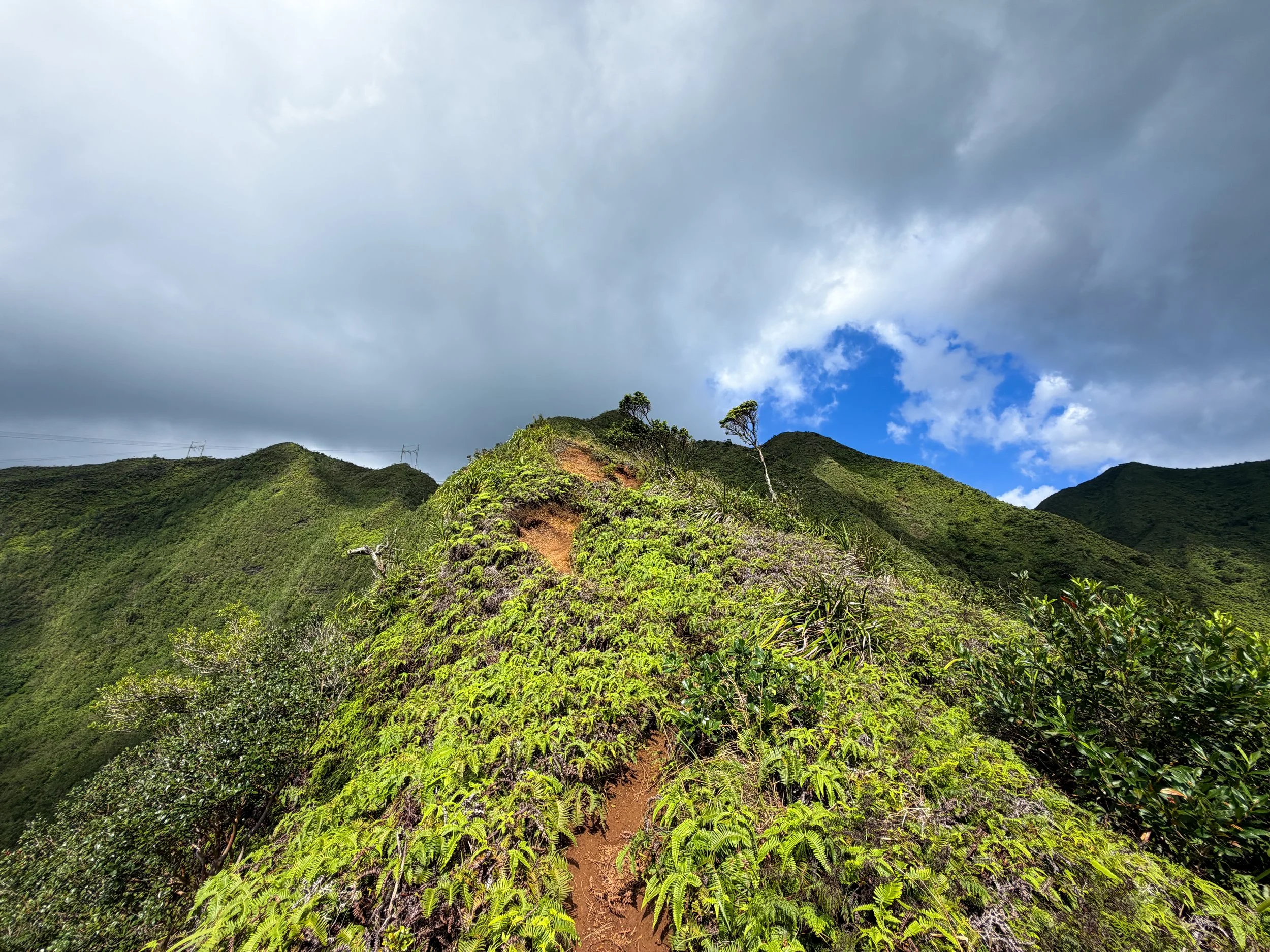 Kaau Crater Trail Oahu Hawaii