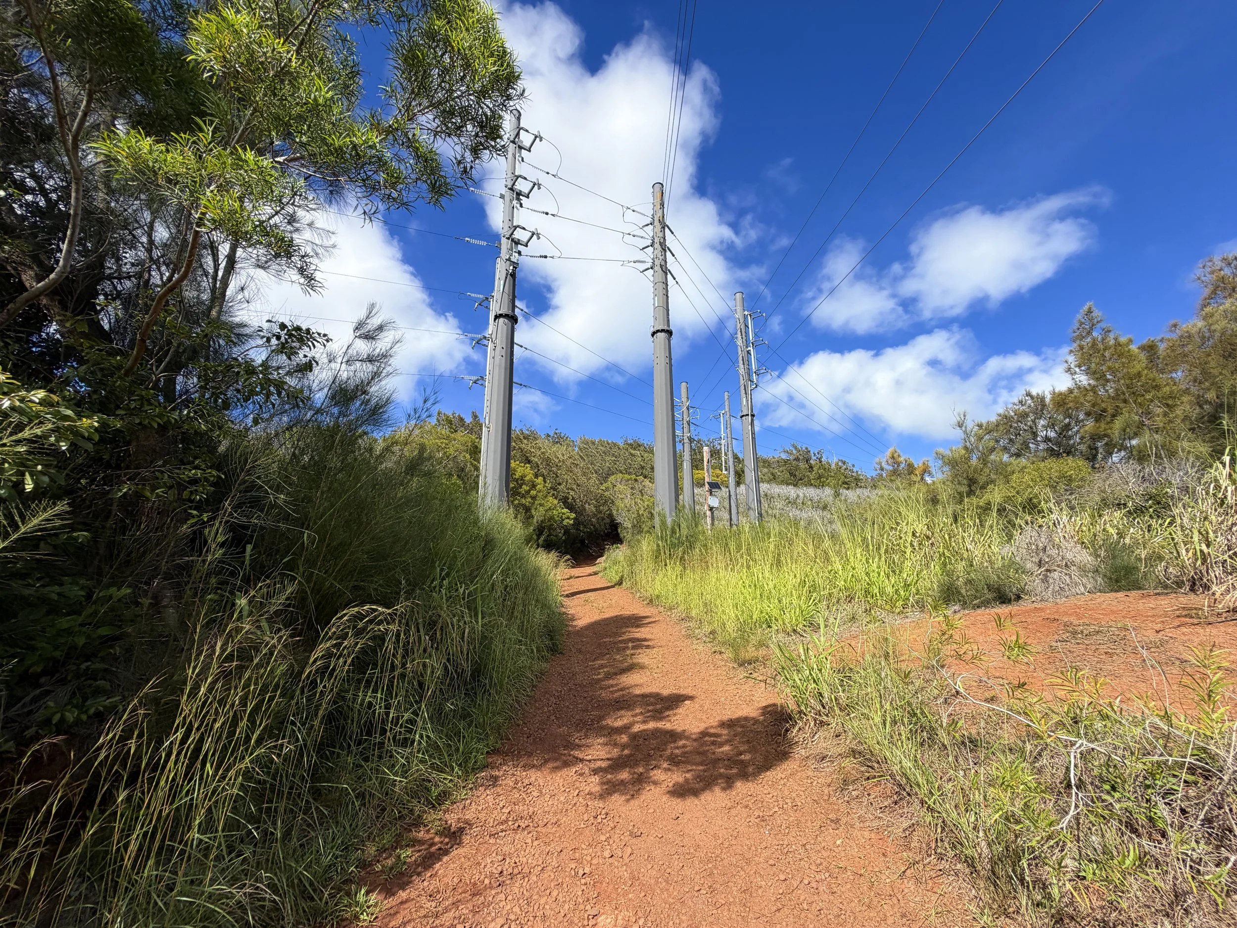 Wiliwilinui Ridge Trail Oahu Hawaii