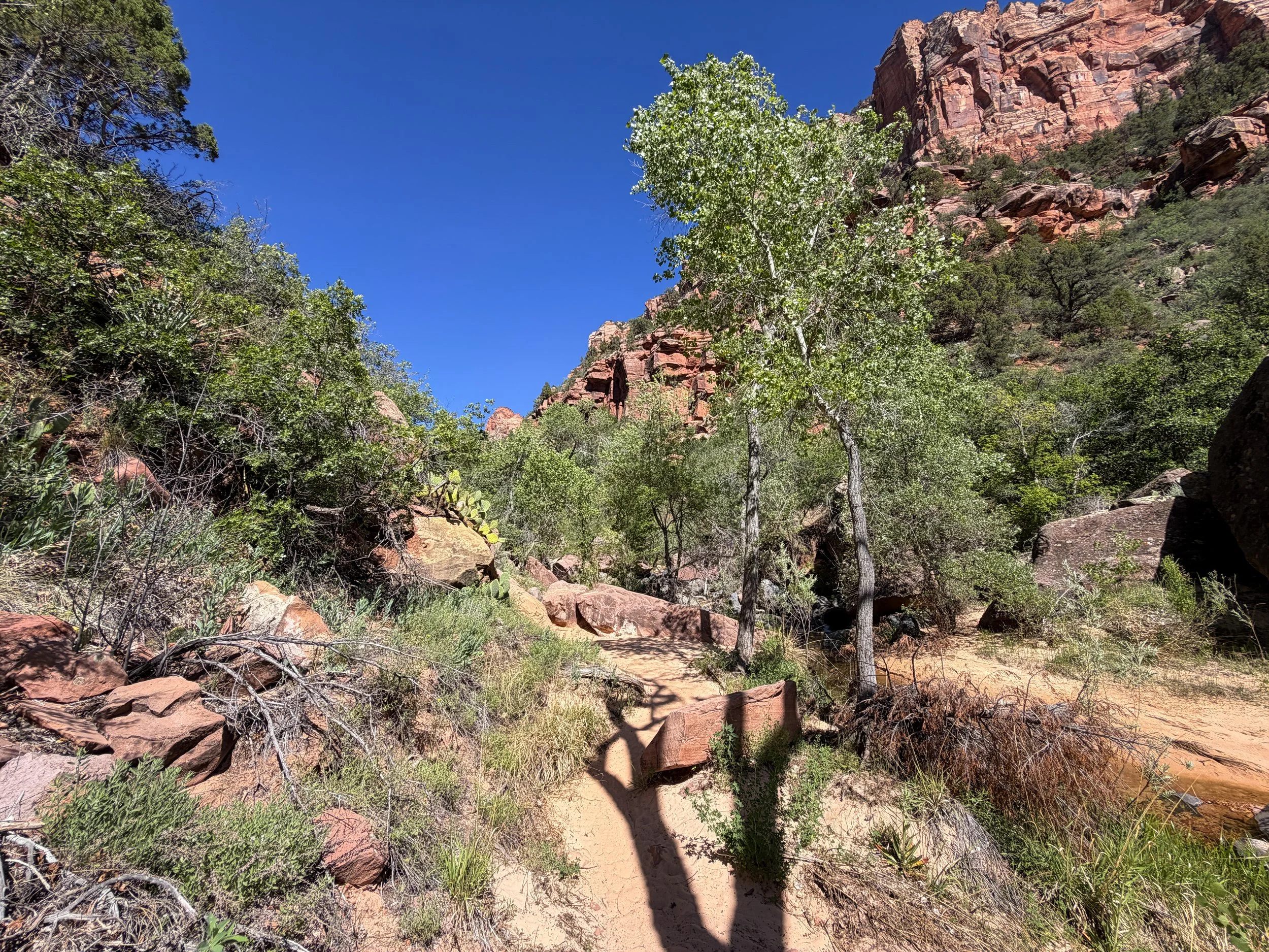 Subway Trail via Left Fork Trailhead Zion National Park Utah
