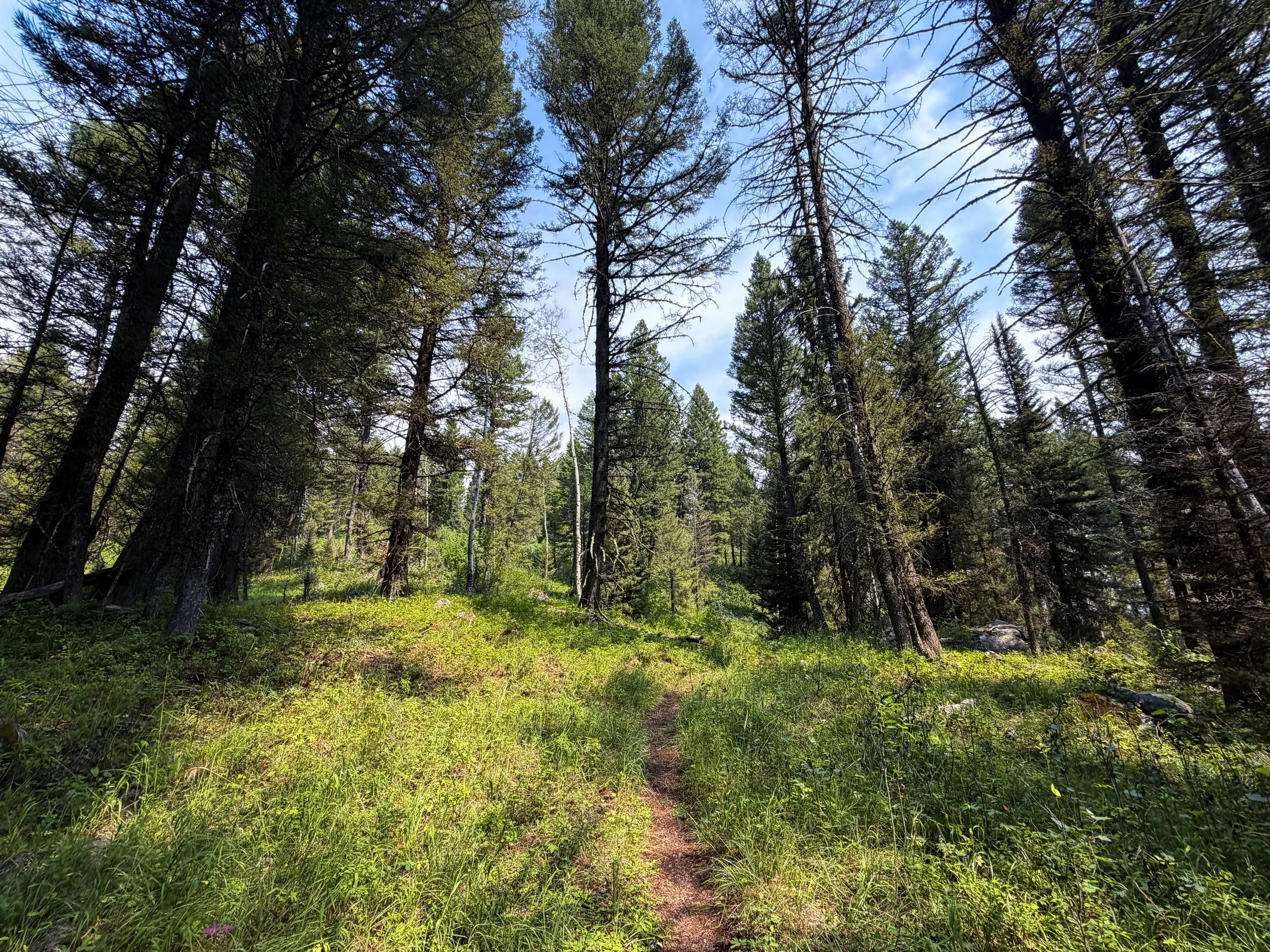 Boulder Ridge Loop Trail Grand Teton National Park Wyoming