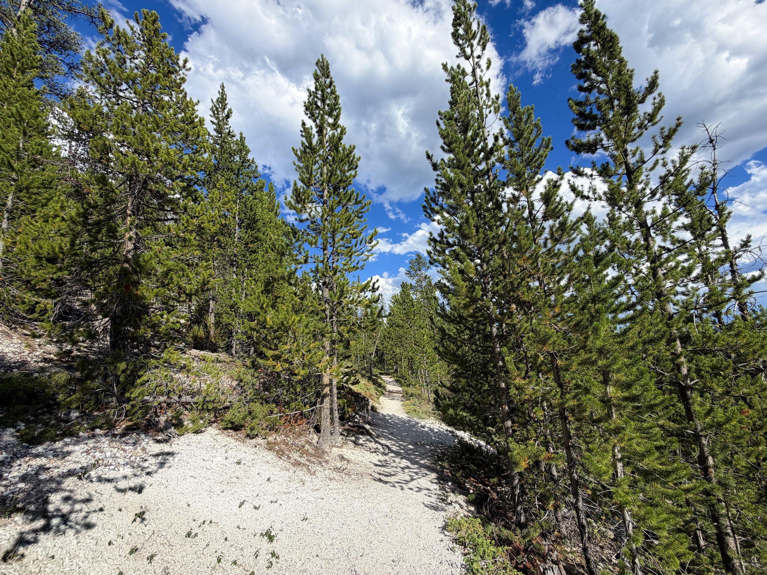 North Rim Trail Yellowstone National Park Wyoming