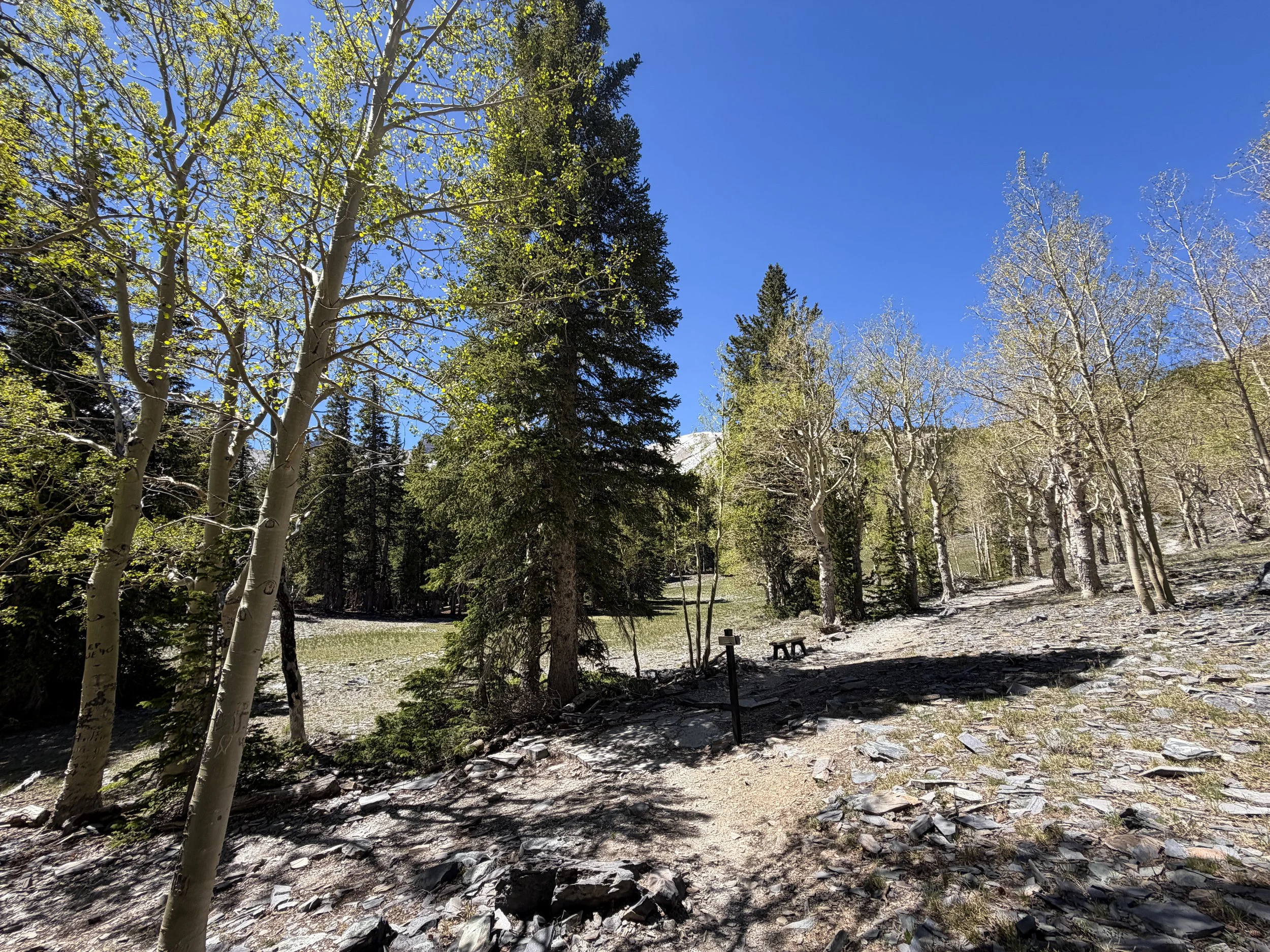 Wheeler Peak Trail Great Basin National Park Nevada