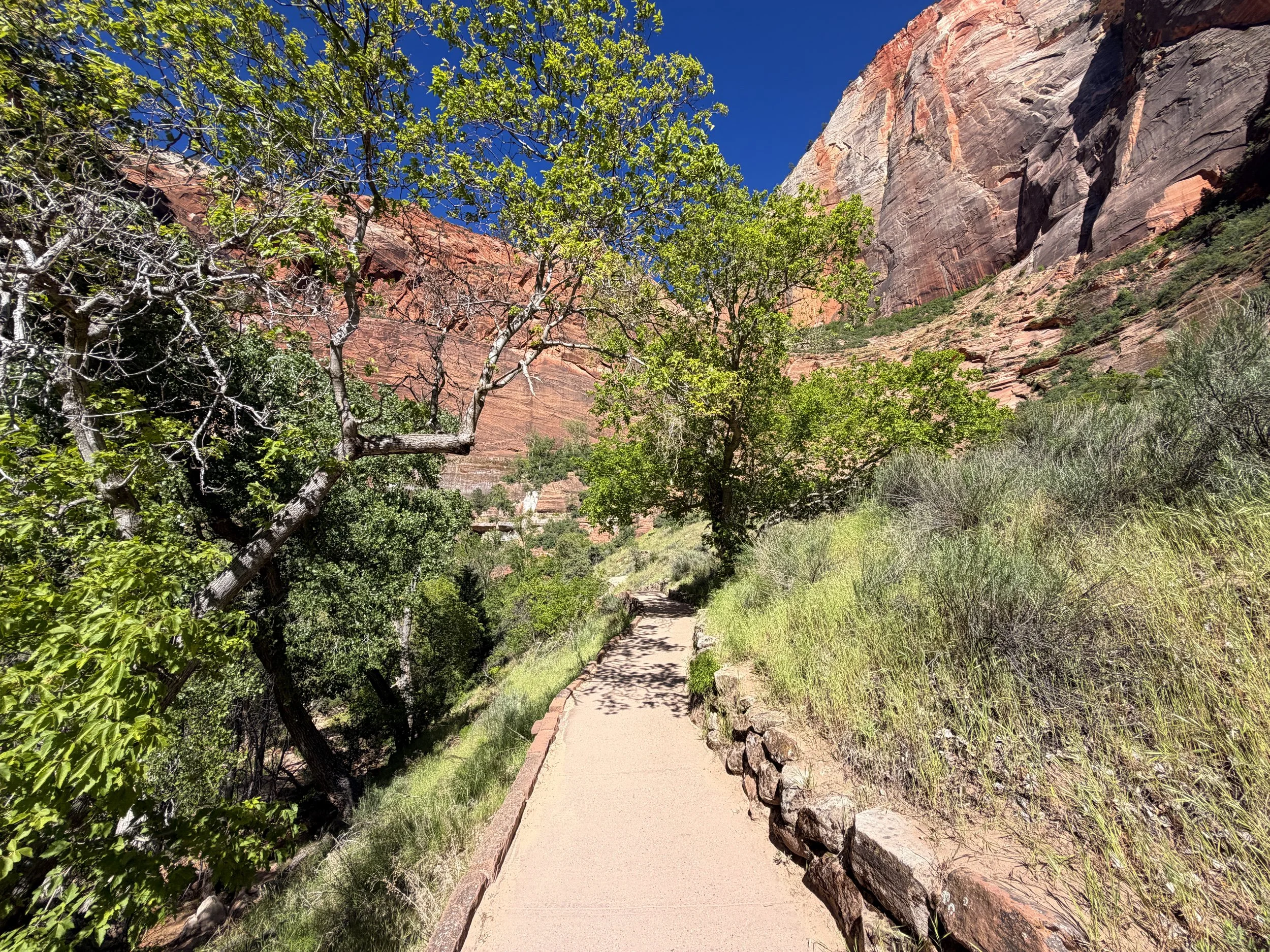 Weeping Rock Trail Zion National Park Utah