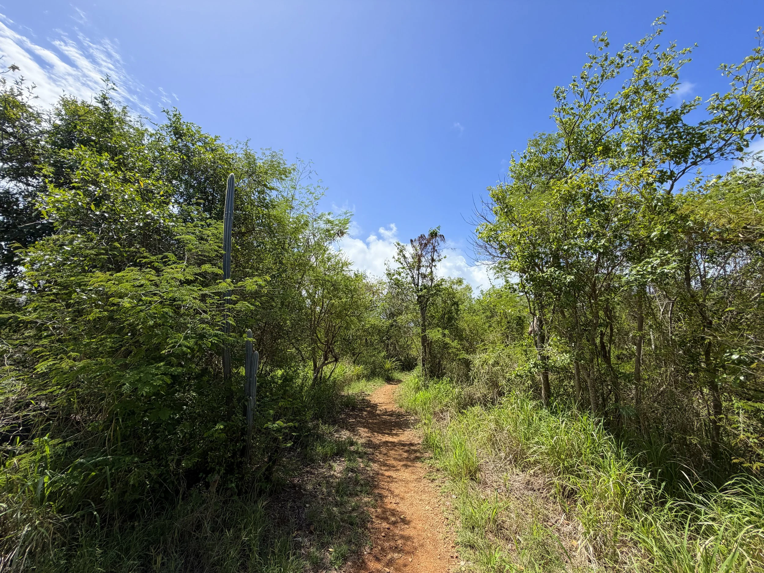 Lind Point Overlook Trail Virgin Islands National Park