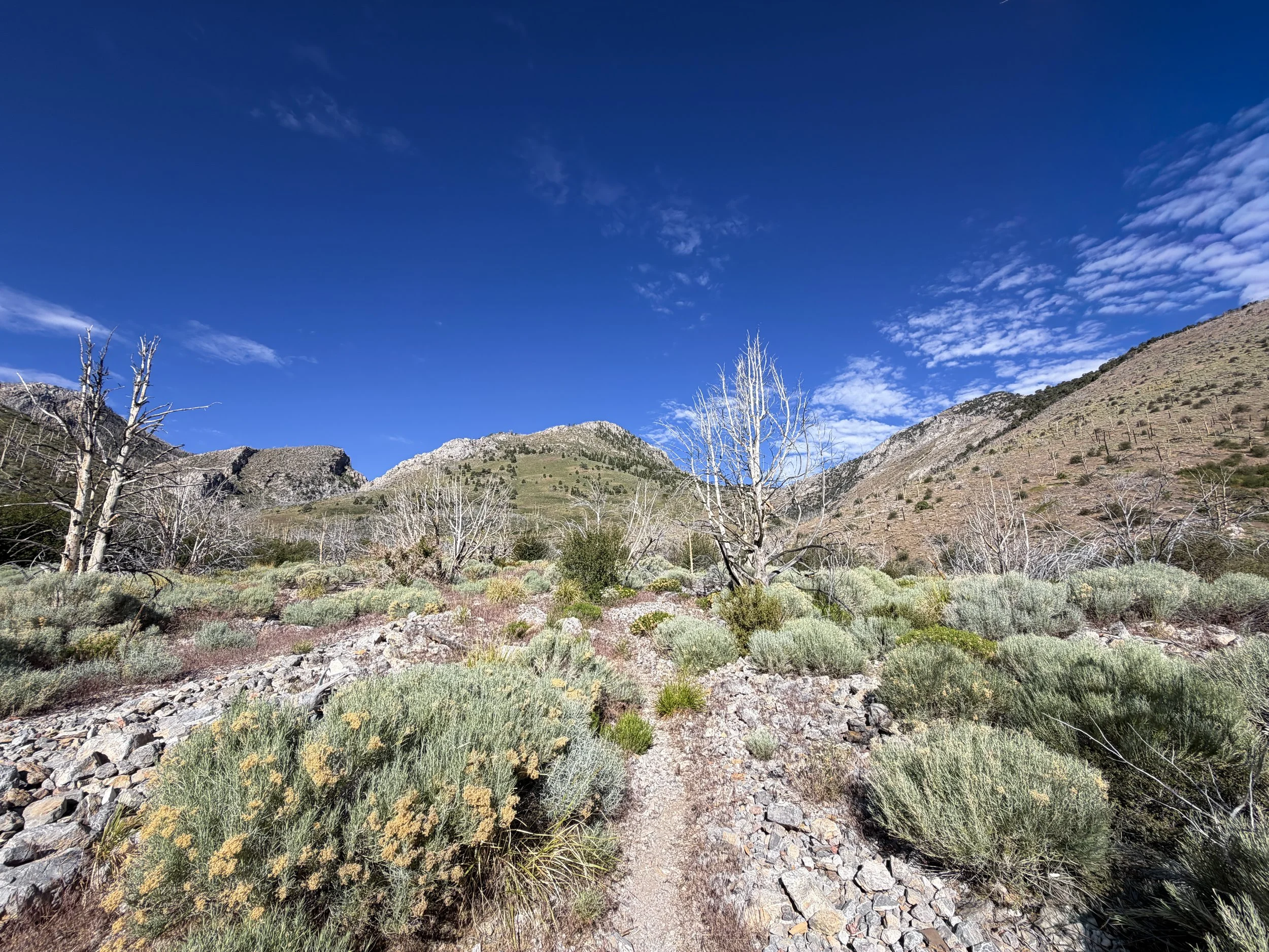 Lexington Arch Hike Great Basin National Park Nevada