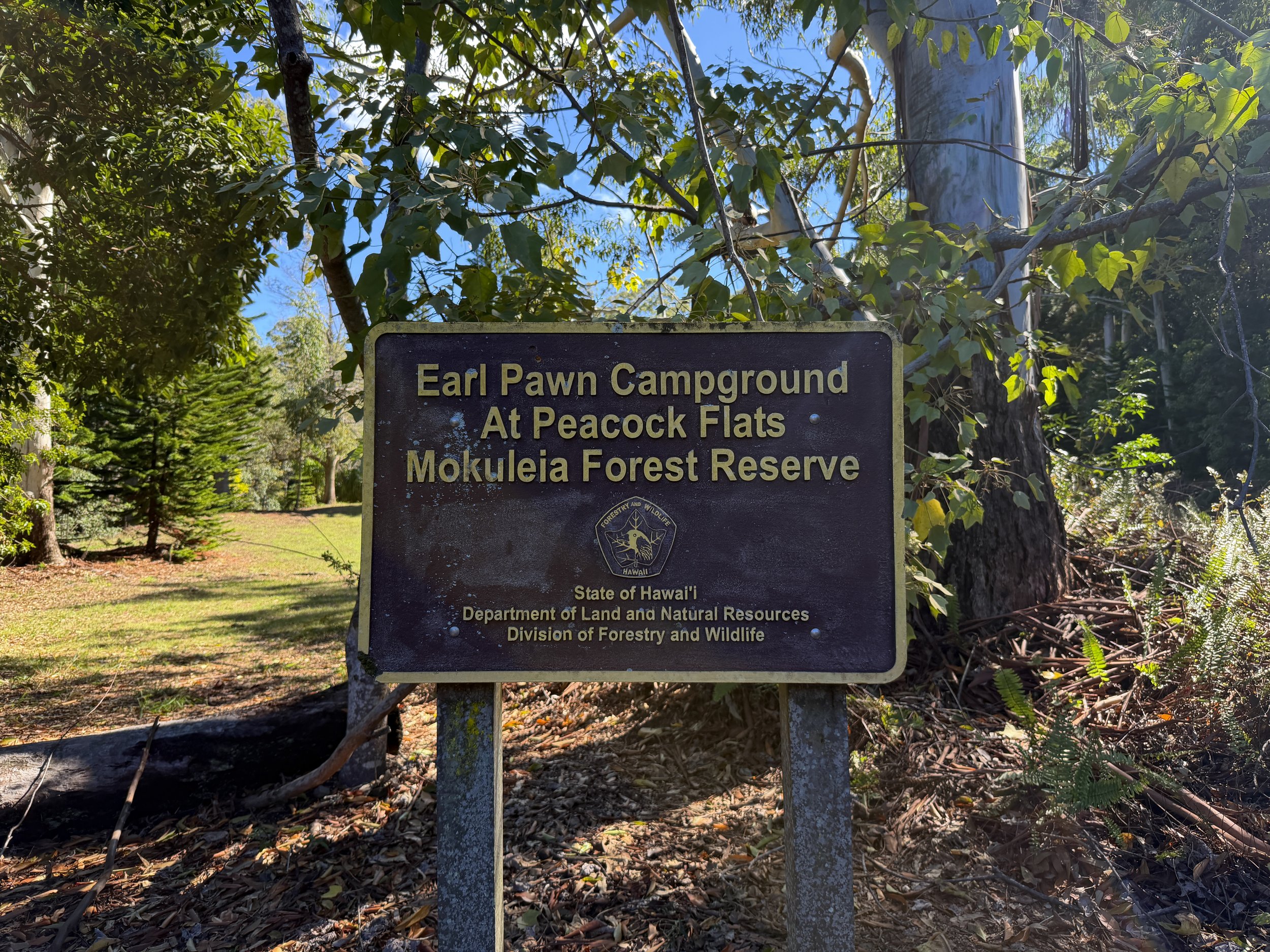 Peacock Flats to Mokuleia Trail Oahu Hawaii