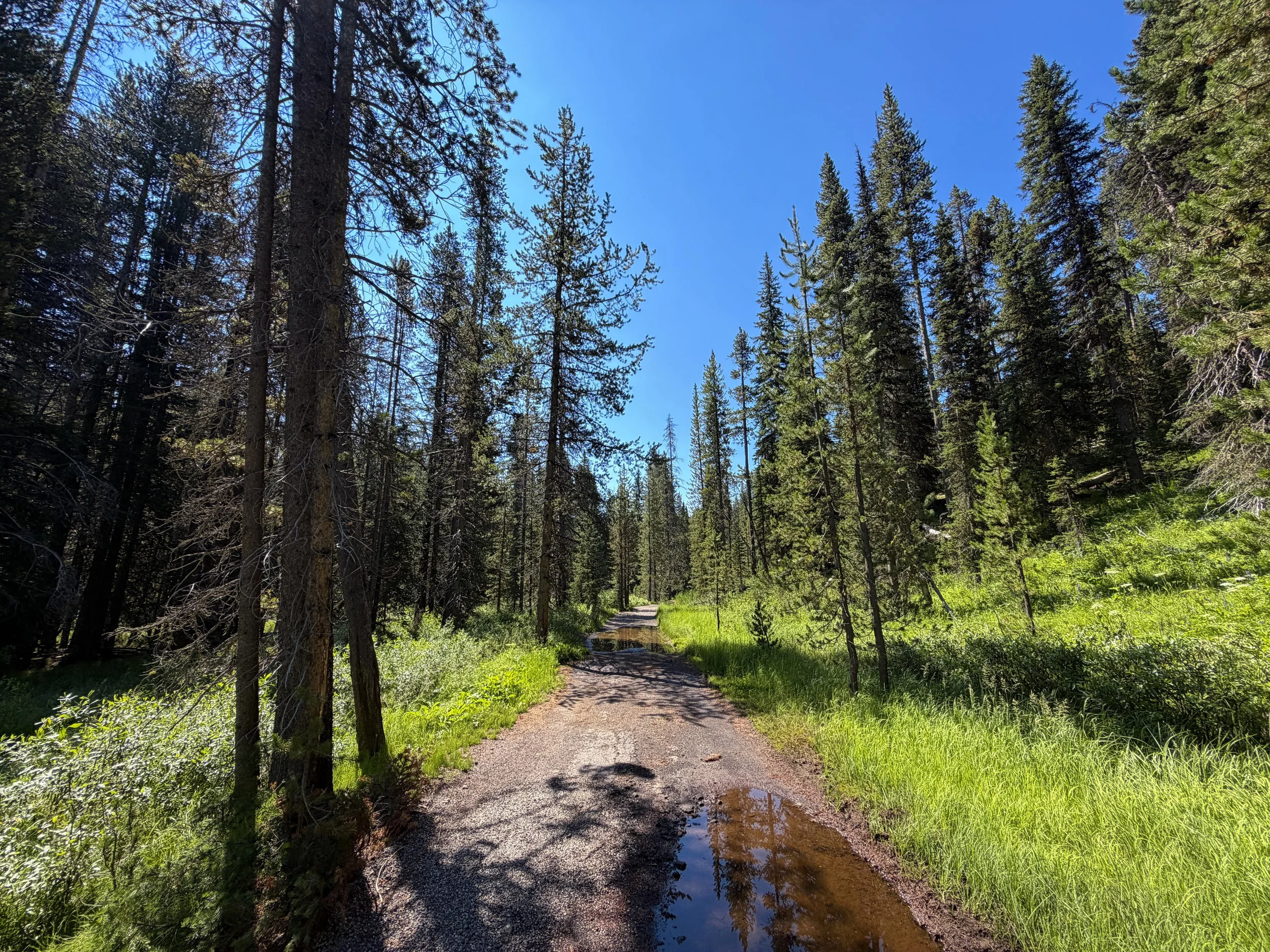 Lone Star Geyser Hike Yellowstone National Park Wyoming