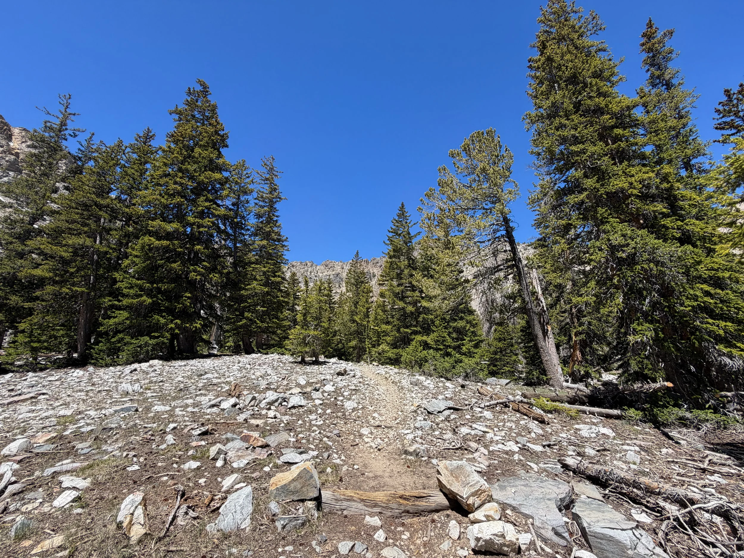 Baker Lake Trail Great Basin National Park Nevada