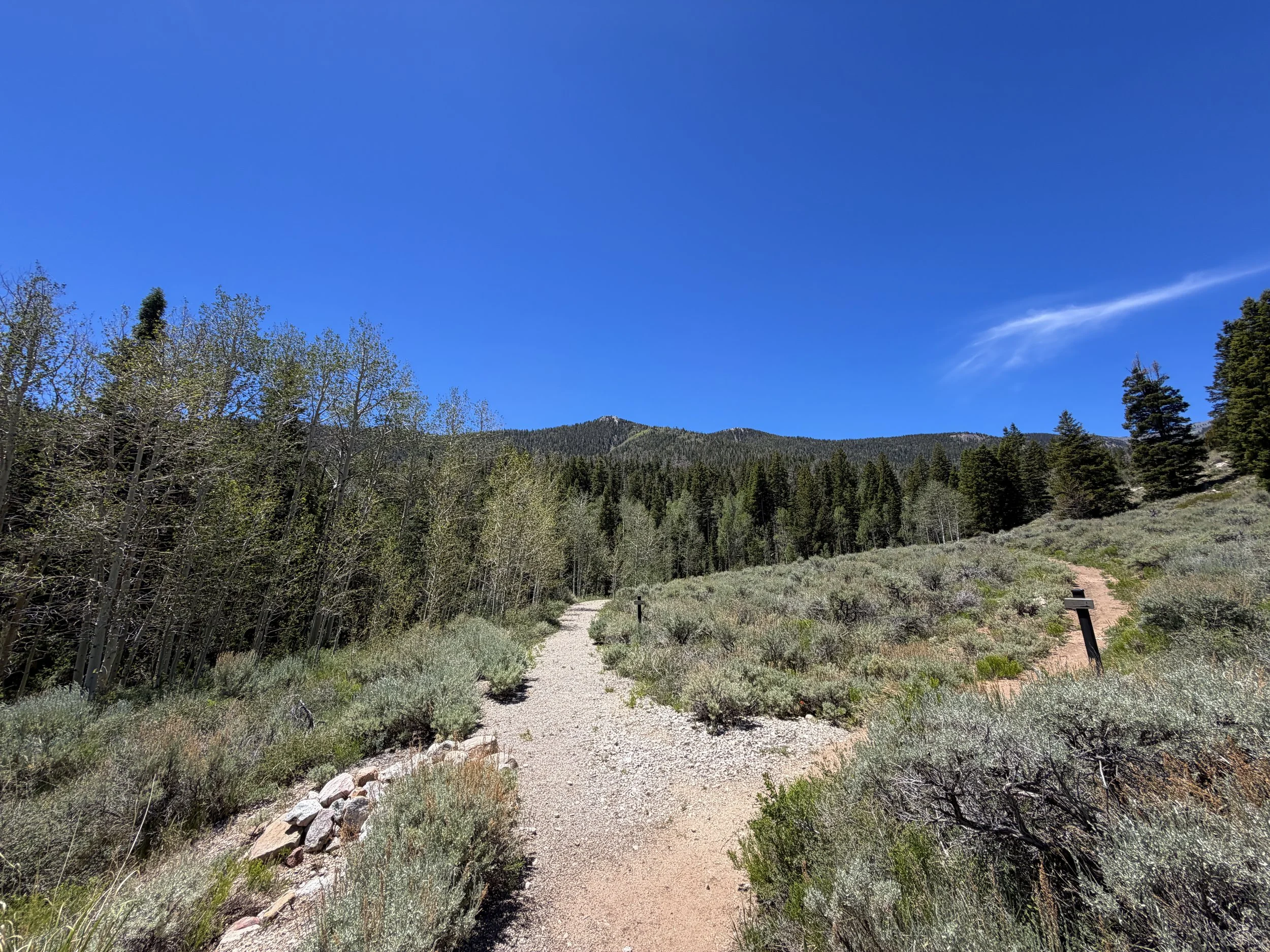 Dead Lake Trail Great Basin National Park Nevada