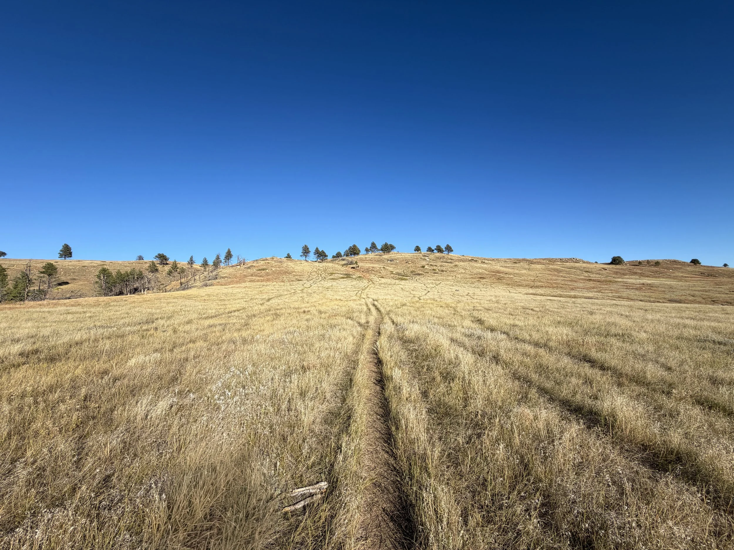 Boland Ridge Hike Wind Cave National Park South Dakota