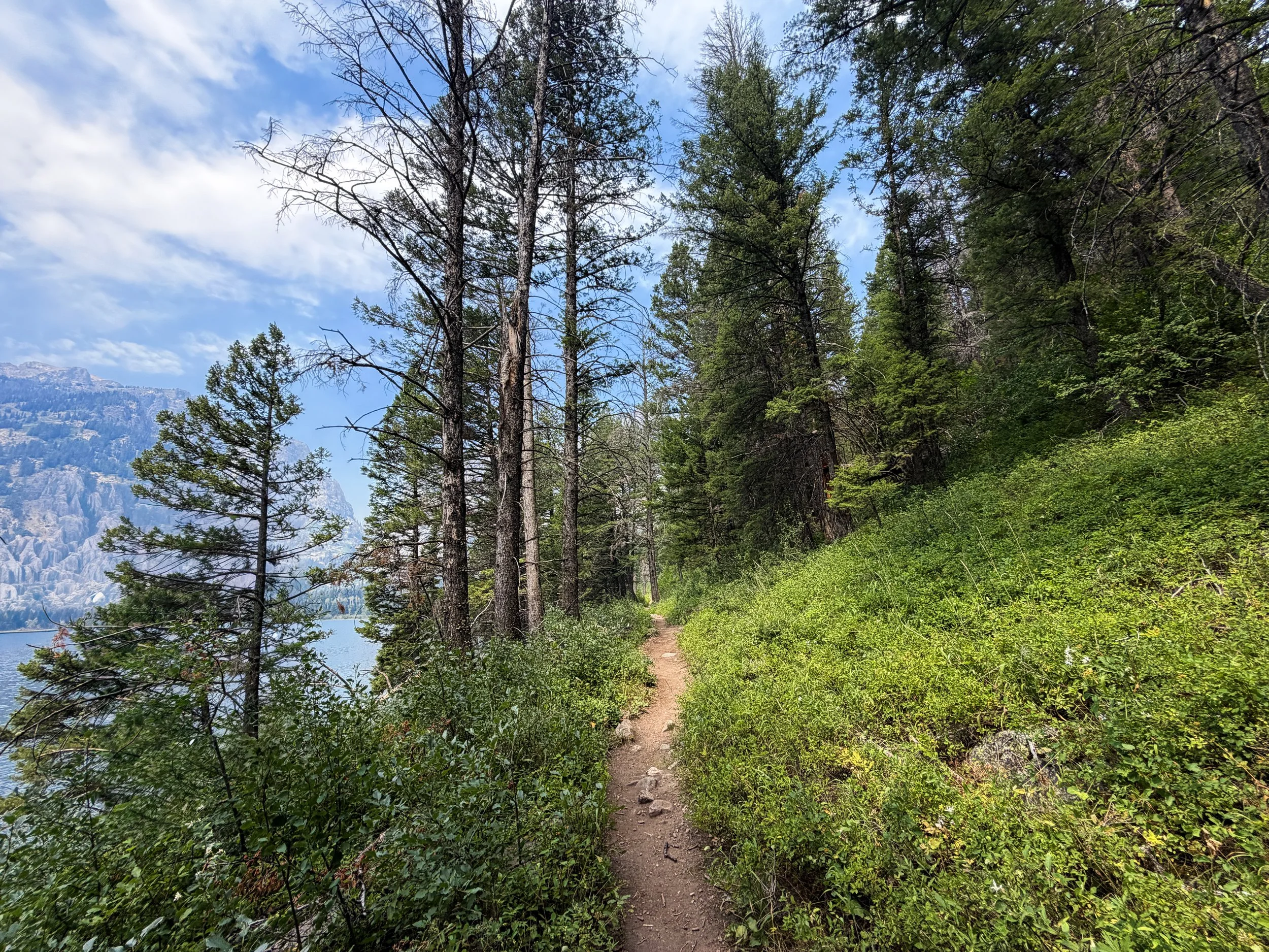 Phelps Lake Loop Trail Grand Teton National Park Wyoming