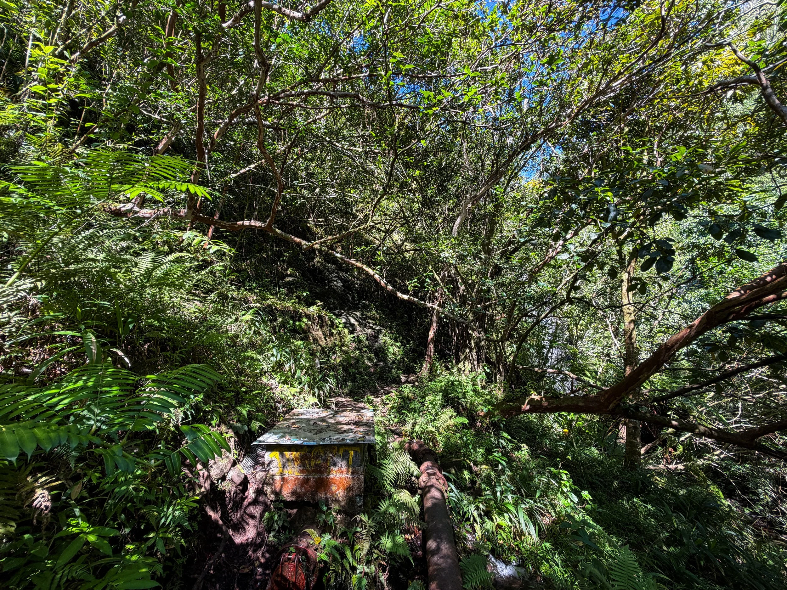 Kaau Crater Trail Oahu Hawaii