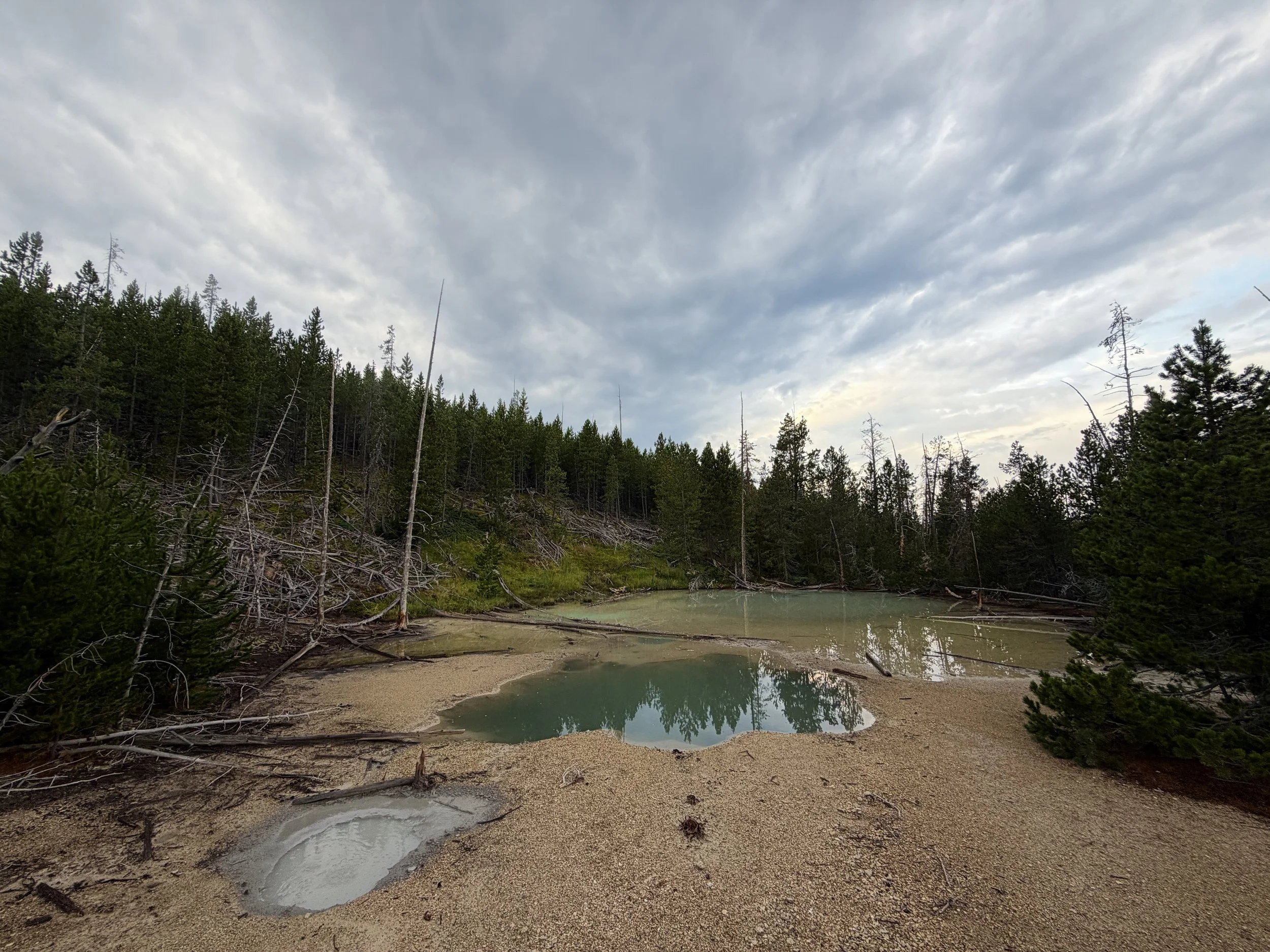 Norris Geyser Basin Loop Trail Yellowstone National Park Wyoming