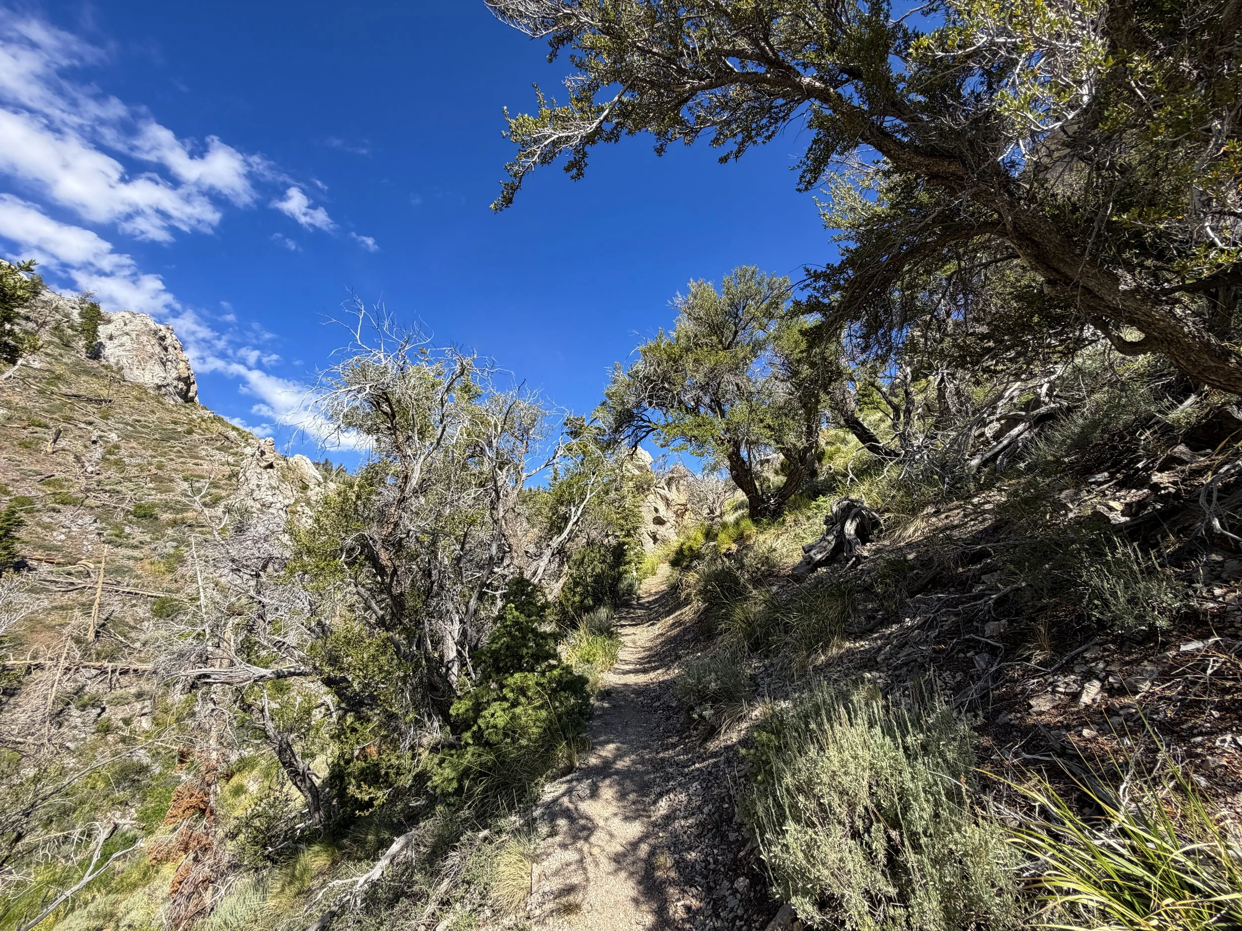 Lexington Arch Trail Great Basin National Park Nevada