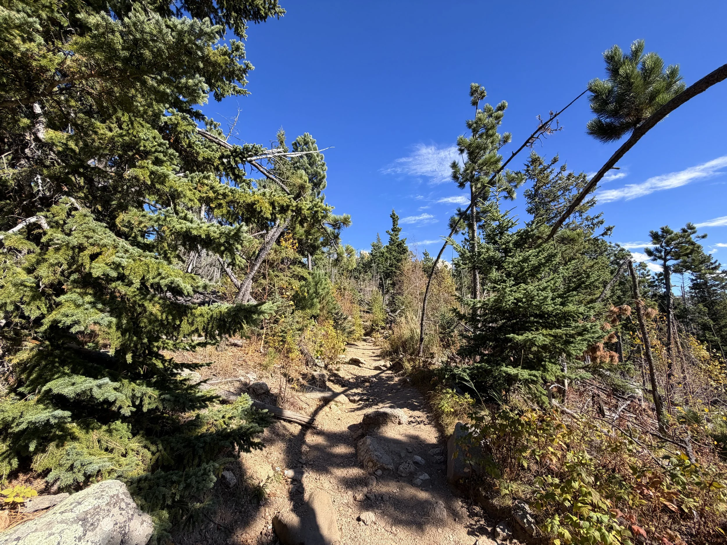 Black Elk Peak Hike via Custer State Park Black Hills South Dakota