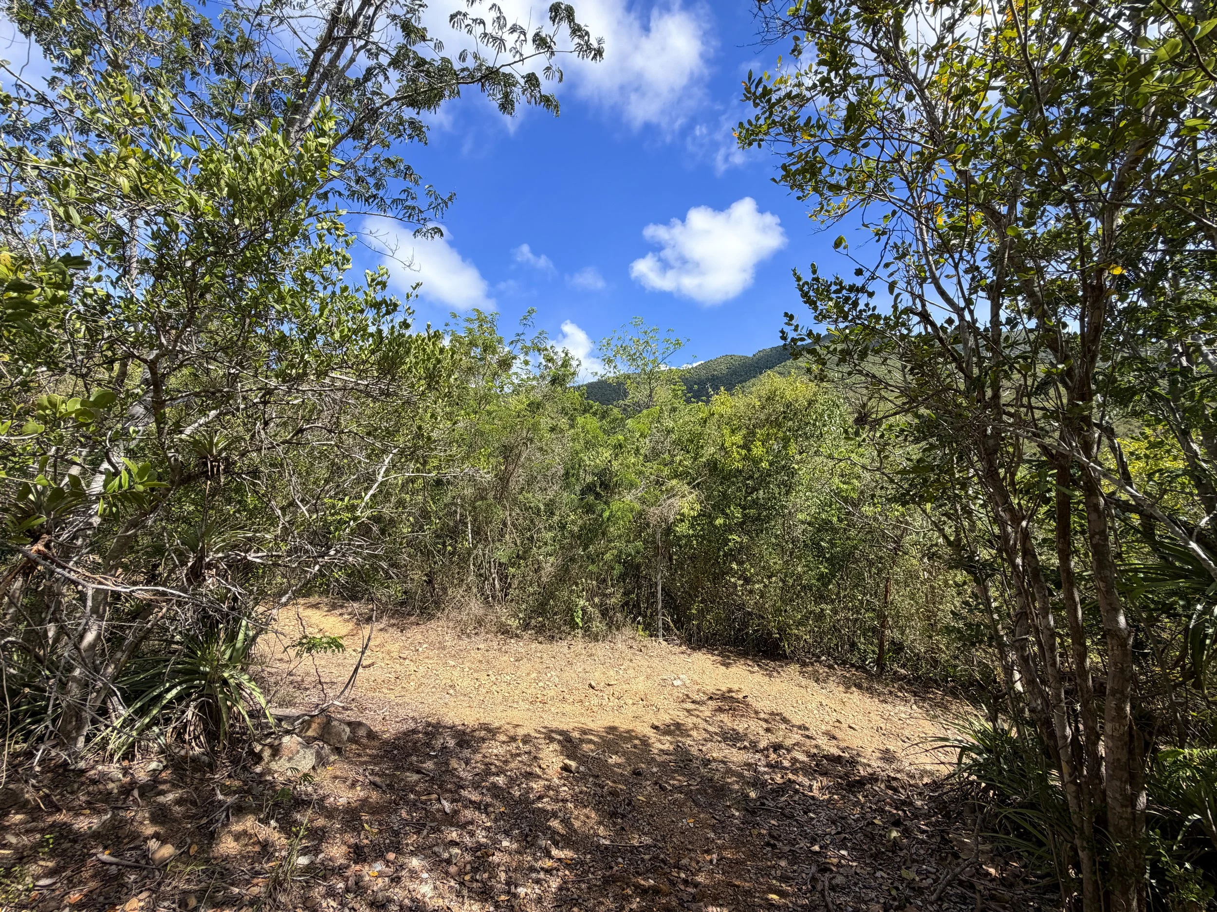Lameshur Bay Trail Virgin Islands National Park