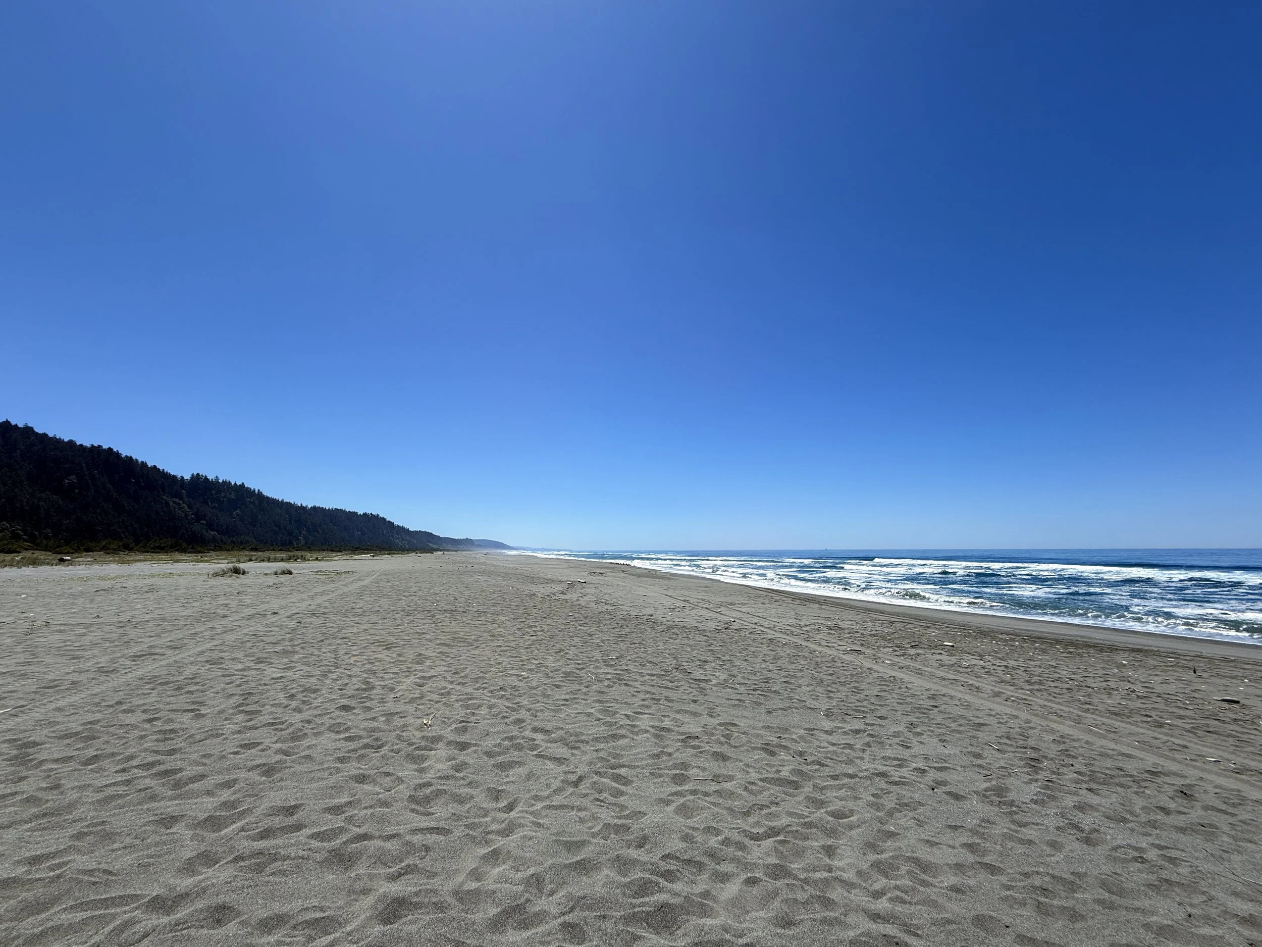 Gold Bluffs Beach Ossagon Trail Prairie Creek Redwoods State Park California