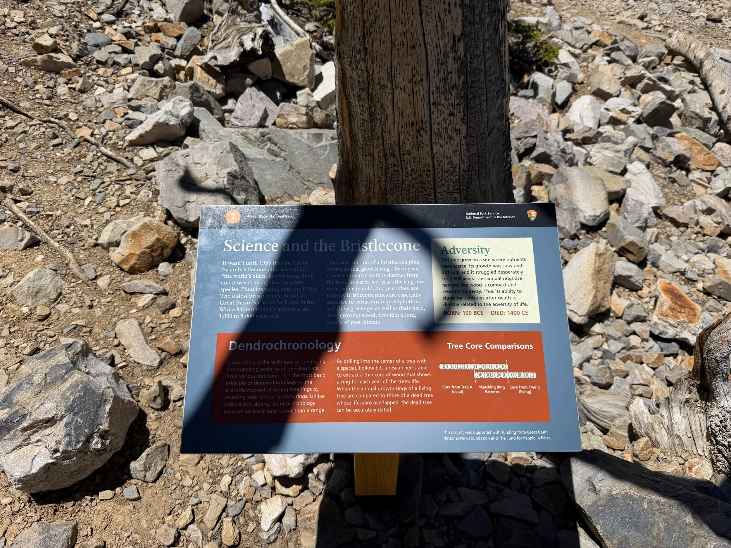 Bristlecone Loop Trail Great Basin National Park Nevada