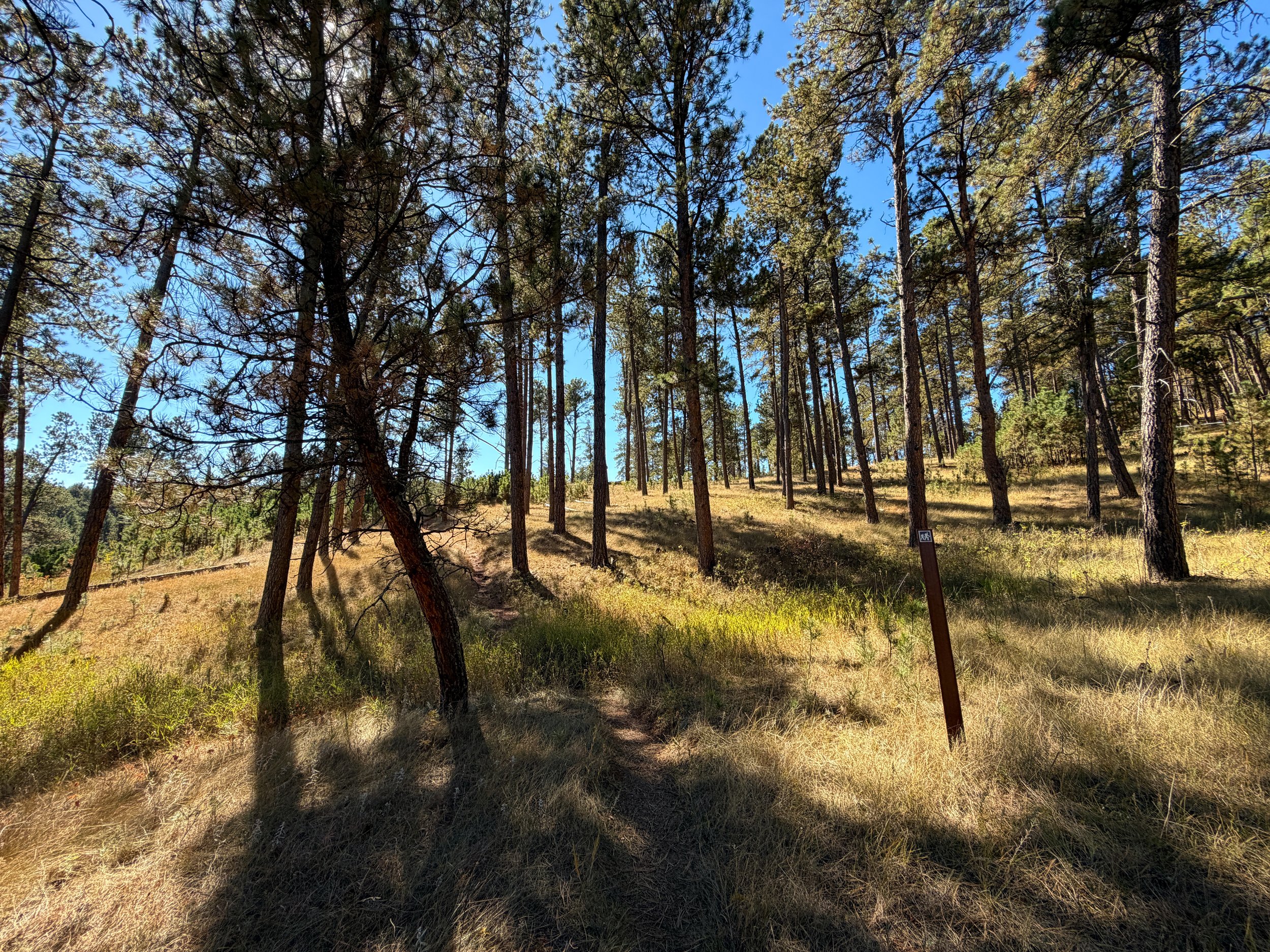 Elk Mountain Campground Loop Trail Wind Cave National Park South Dakota