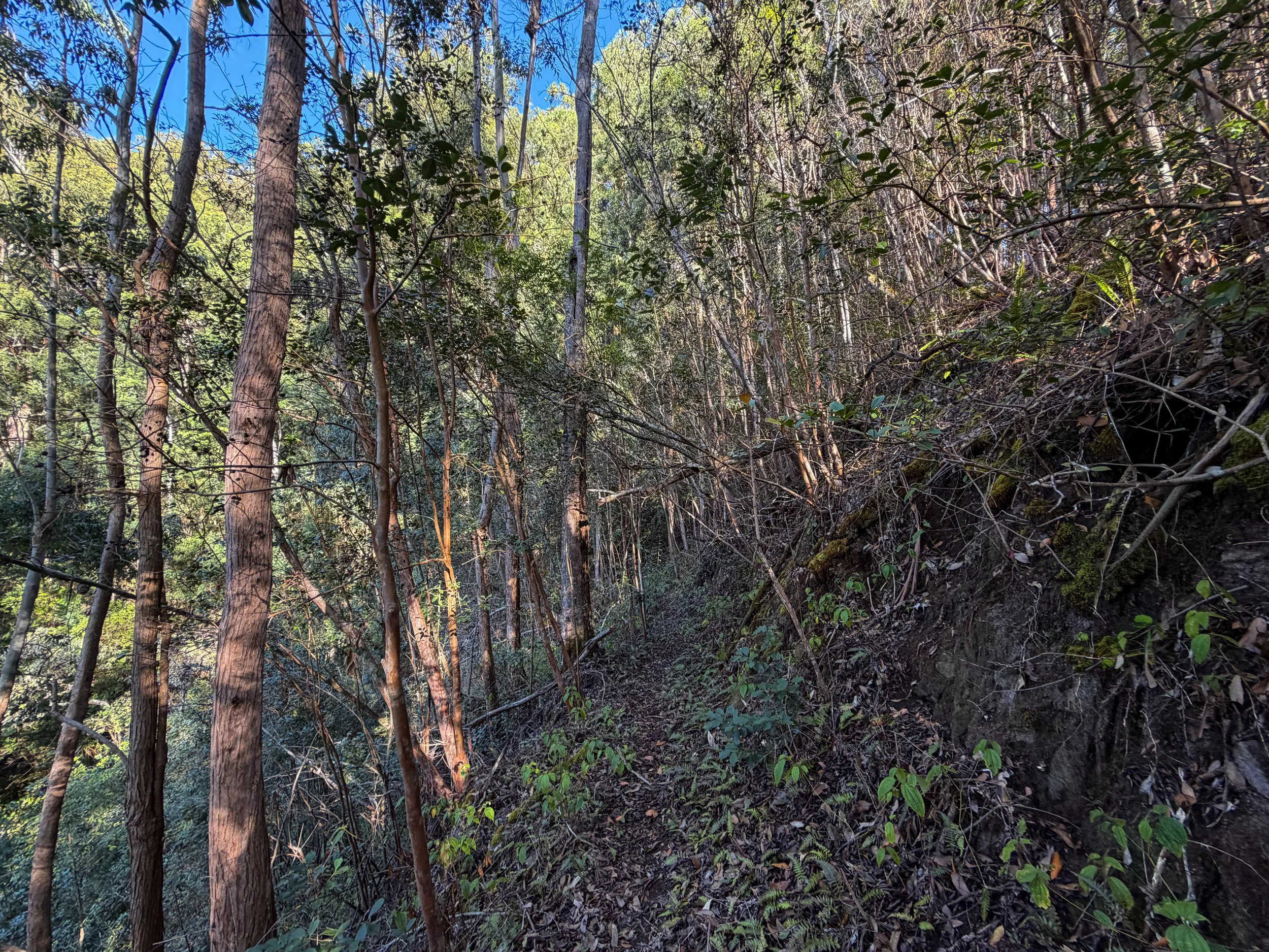 Mokuleia Trail Oahu Hawaii