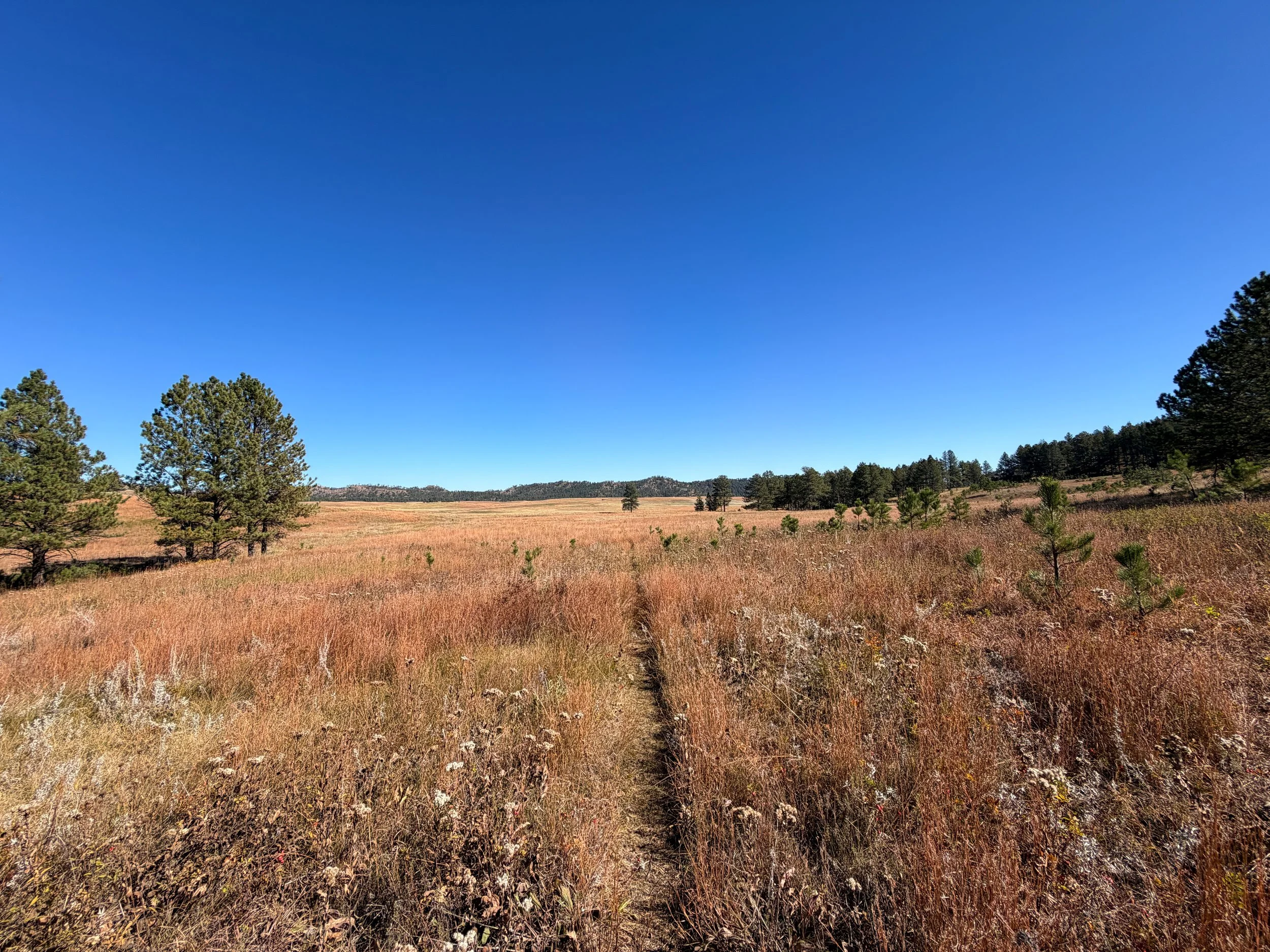 Sanctuary Trail Wind Cave National Park South Dakota