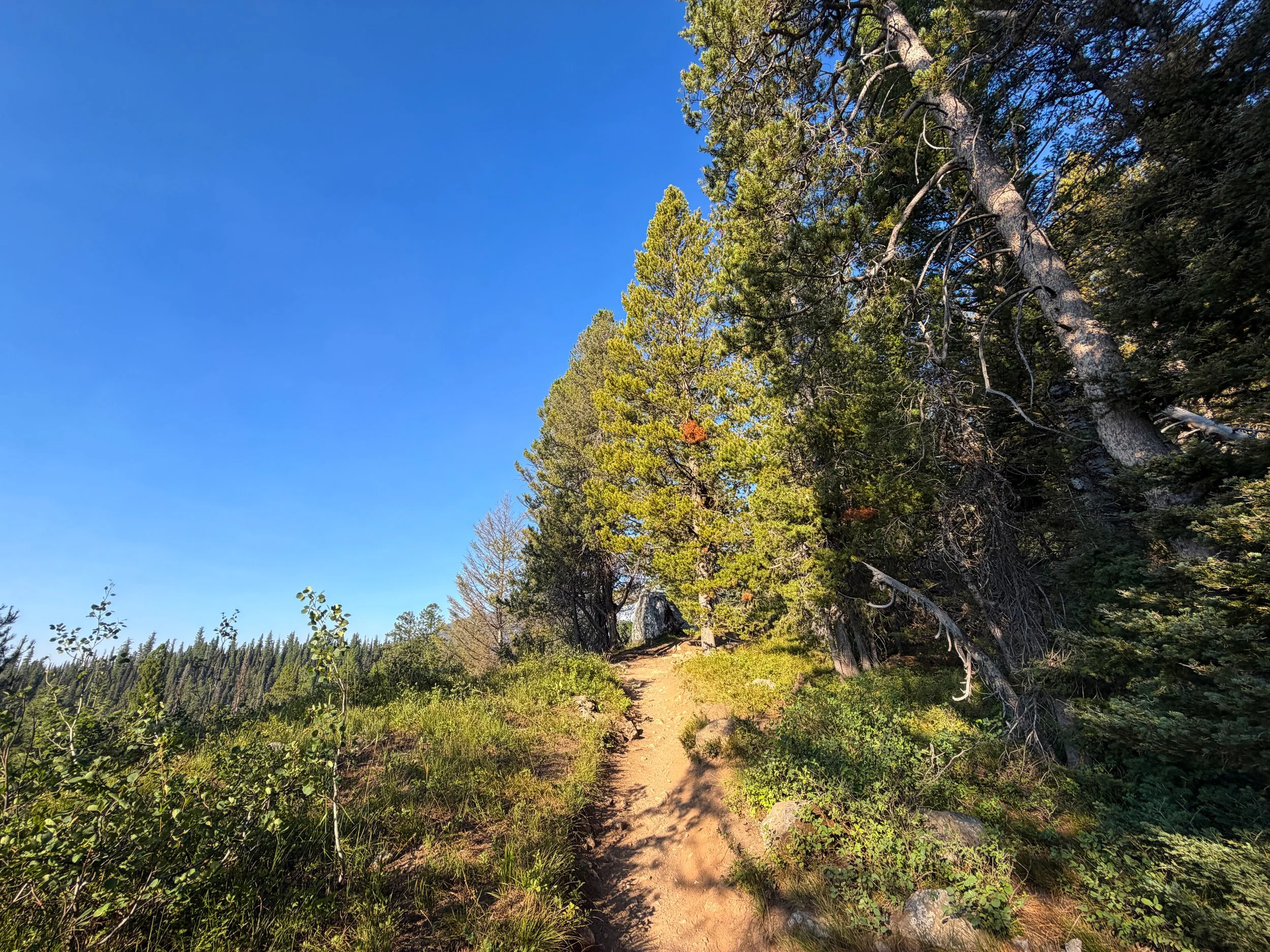 Delta Lake Hike via Lupine Meadows Grand Teton National Park Wyoming