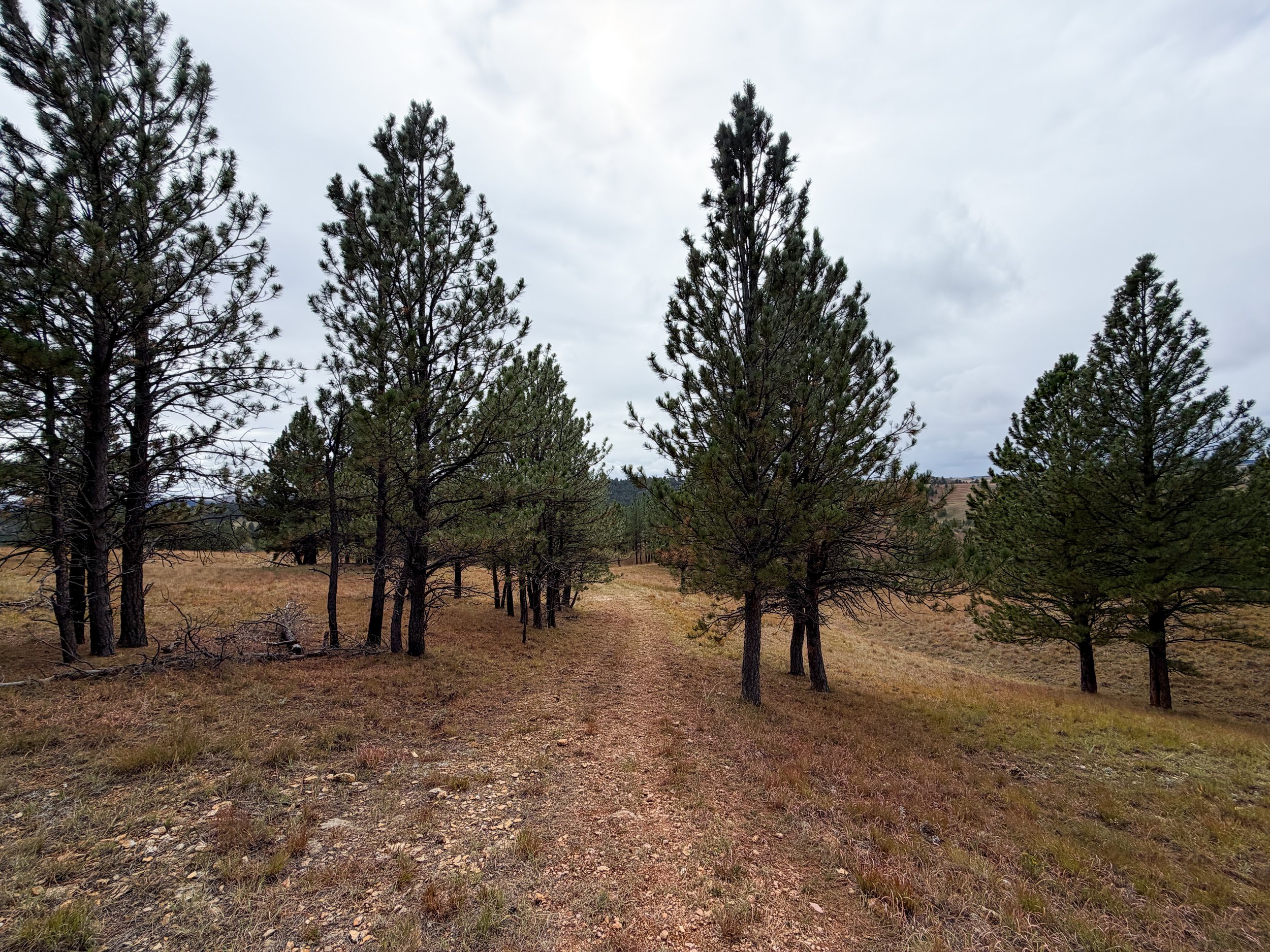 Highland Creek Trail to Wind Cave Canyon Wind Cave National Park South Dakota