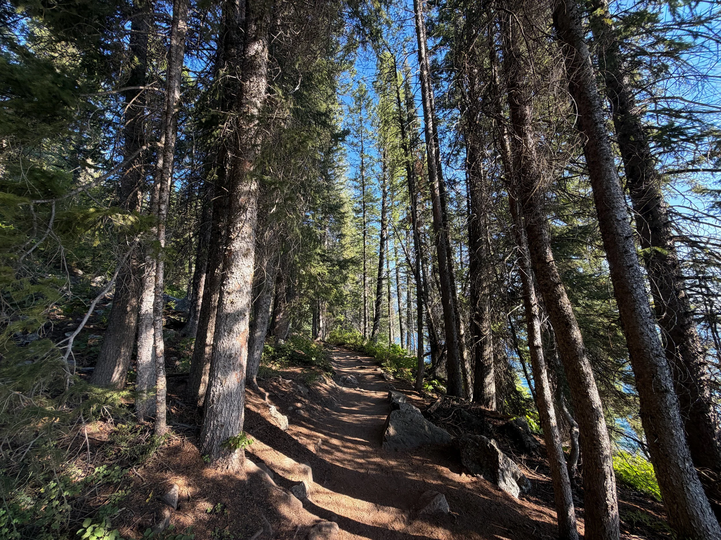 Hidden Falls Trail Grand Teton National Park Wyoming