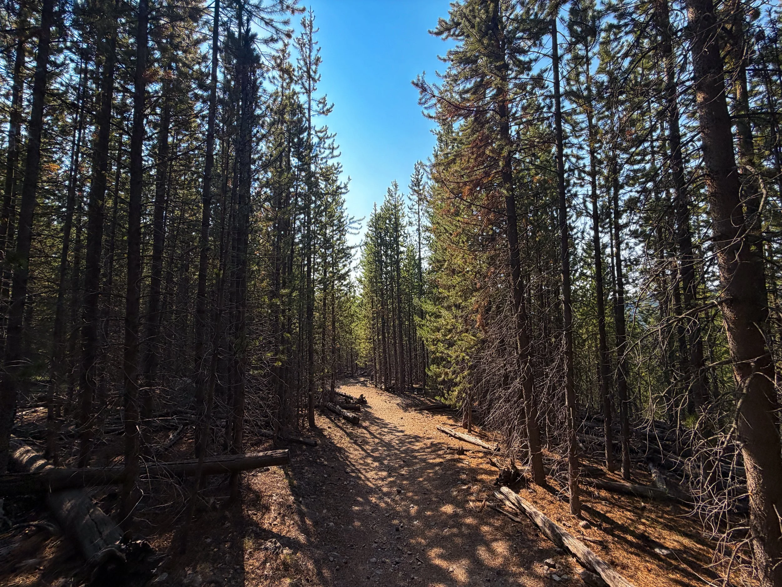 Mystic Falls Trail Yellowstone National Park Wyoming
