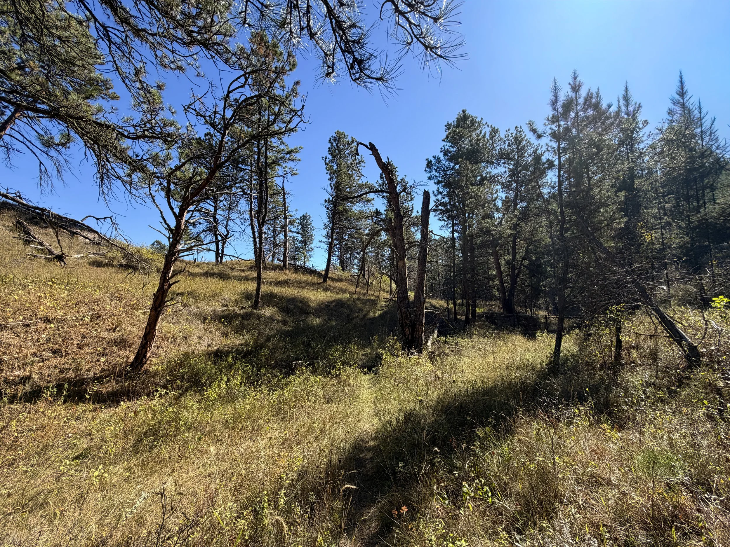 East Bison Flats Trail Wind Cave National Park South Dakota