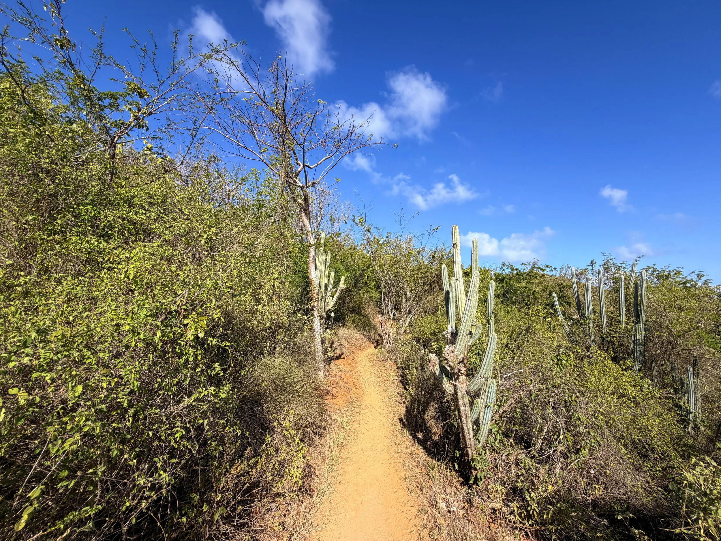 Ram Head Hike Virgin Islands National Park