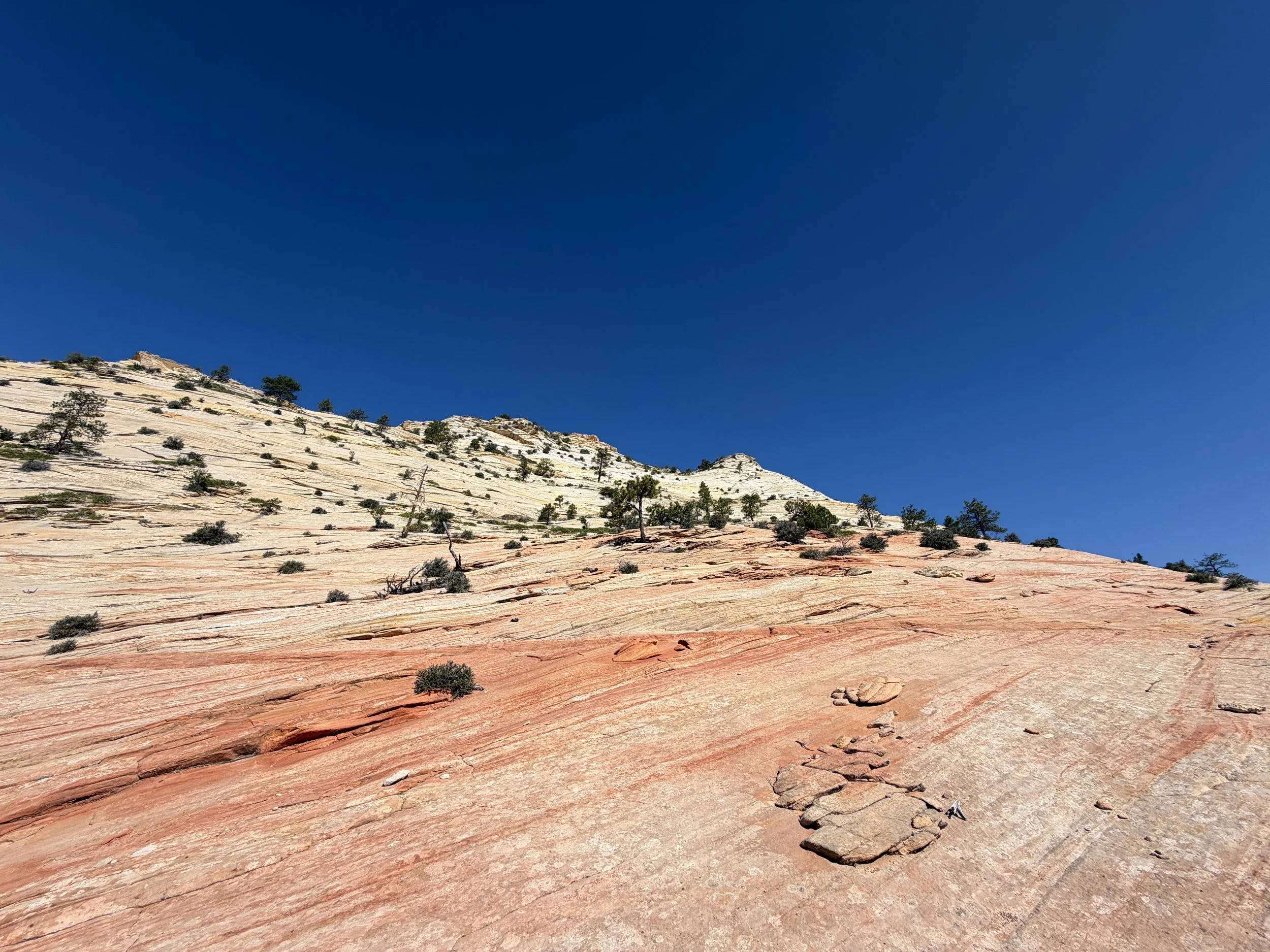 South Ariel Peak Trail Zion National Park Utah