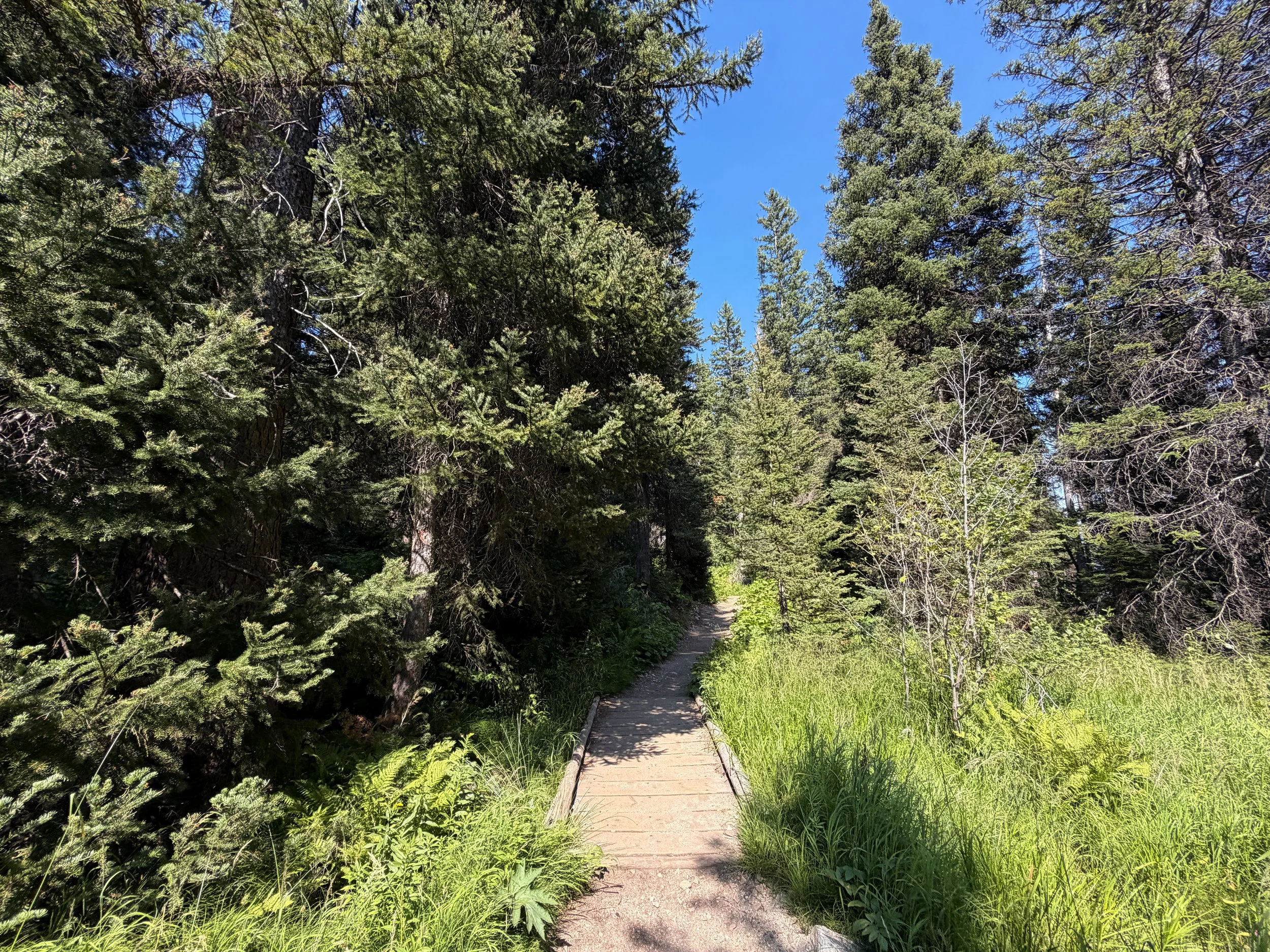 Jenny Lake Trail Grand Teton National Park Wyoming