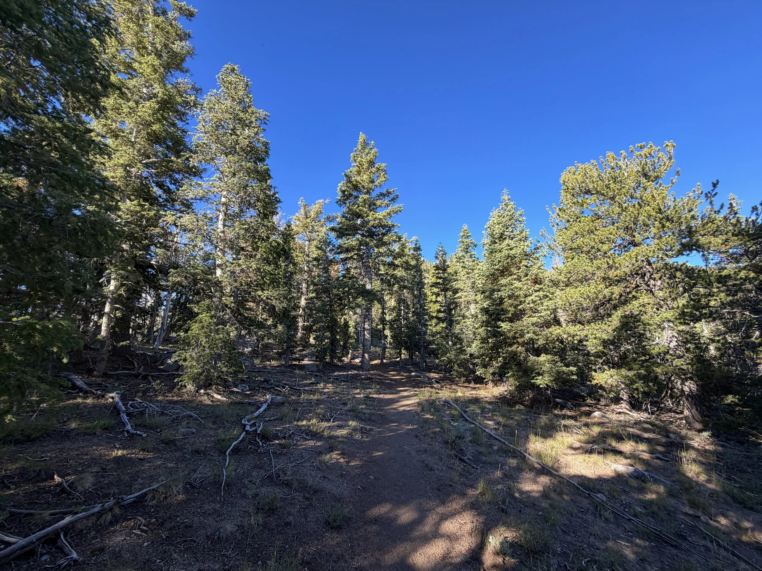 Snake Divide Trail Great Basin National Park Nevada