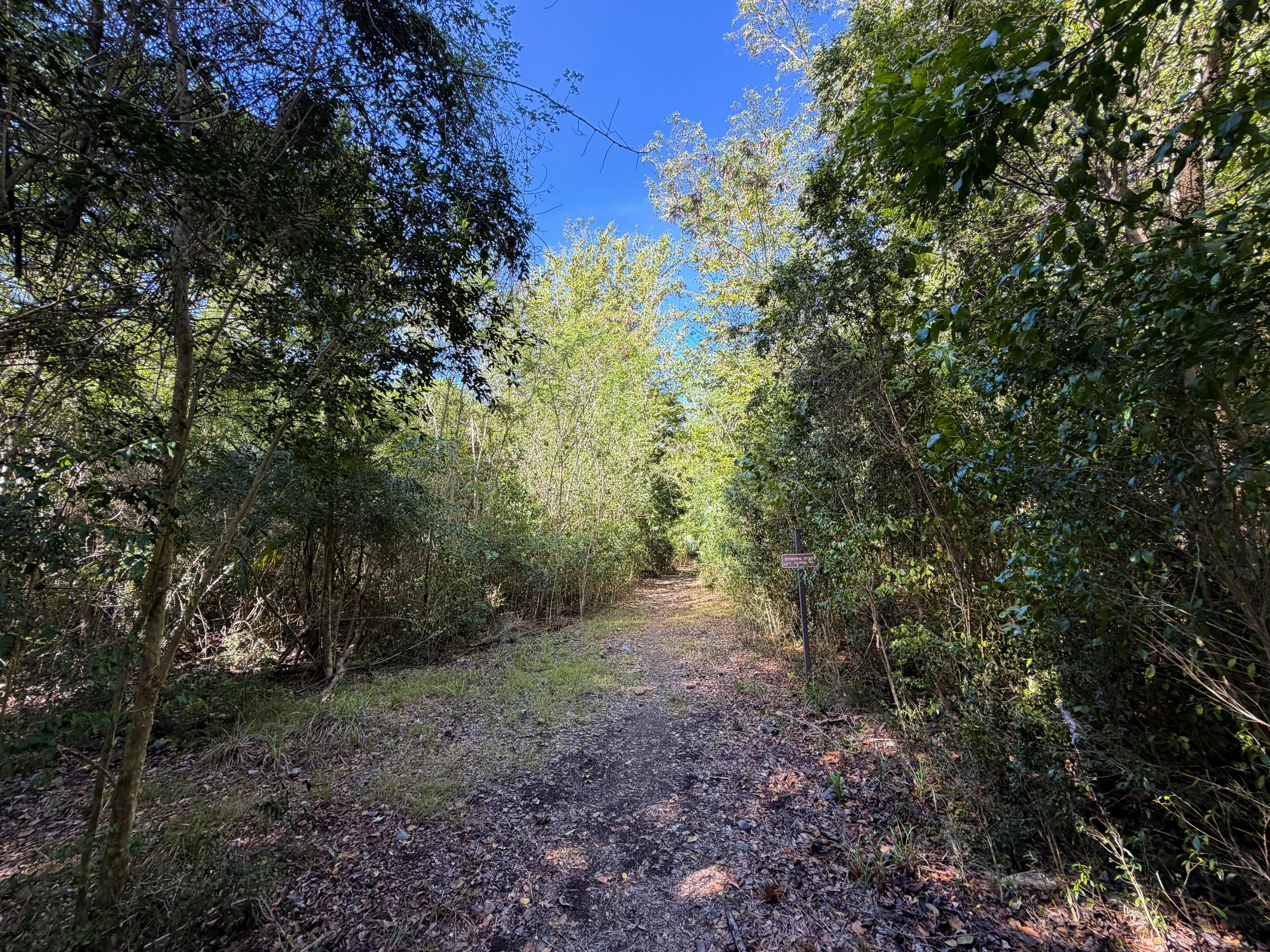 Lameshur Bay Trail to Europa Point Virgin Islands National Park