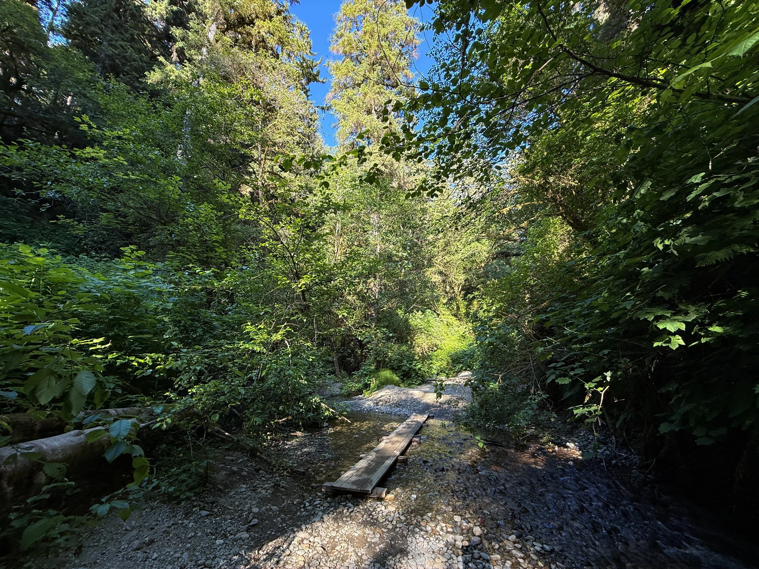 Fern Canyon Trail Prairie Creek Redwoods State Park California