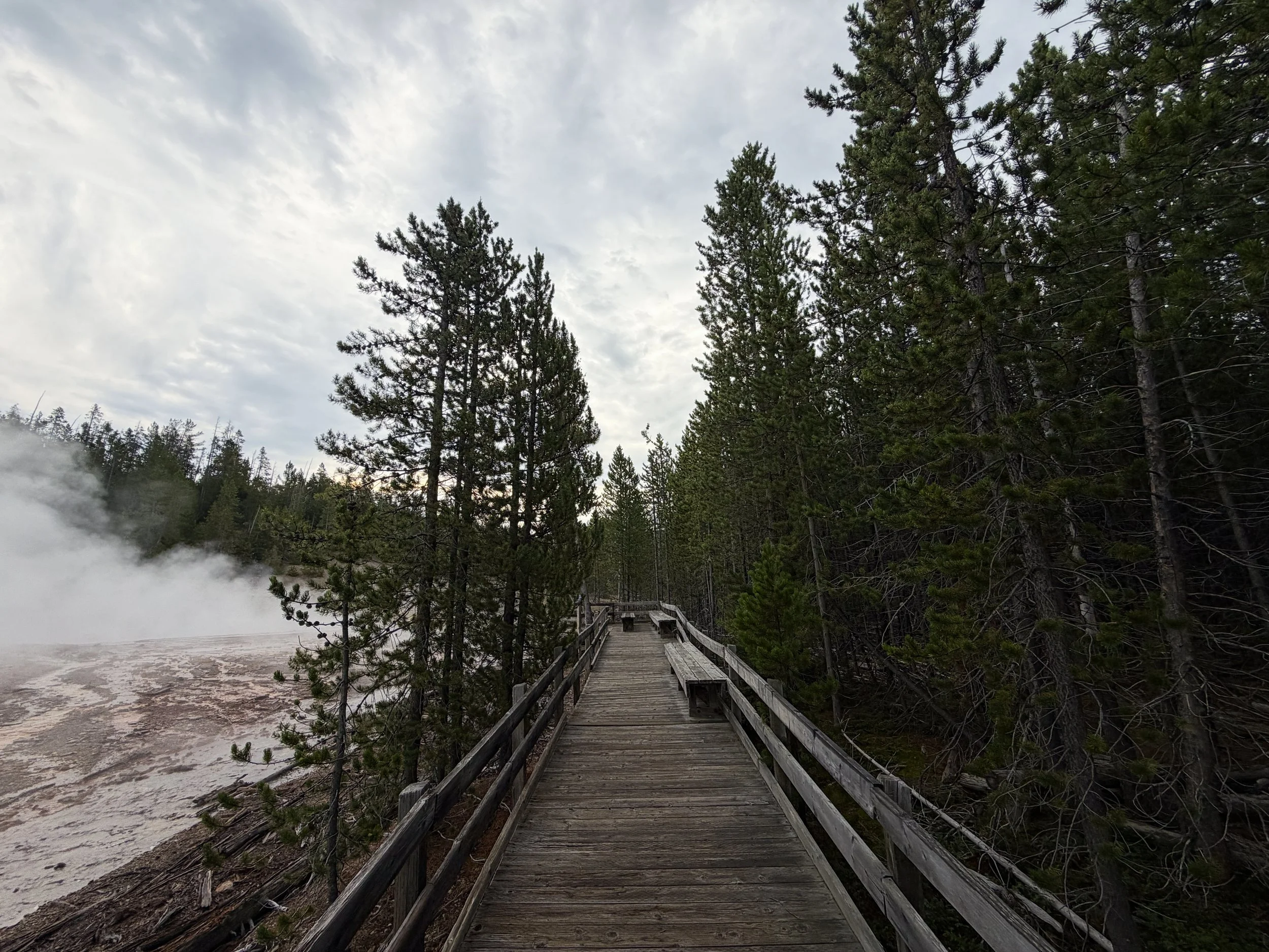 Norris Geyser Basin Trail Yellowstone National Park Wyoming