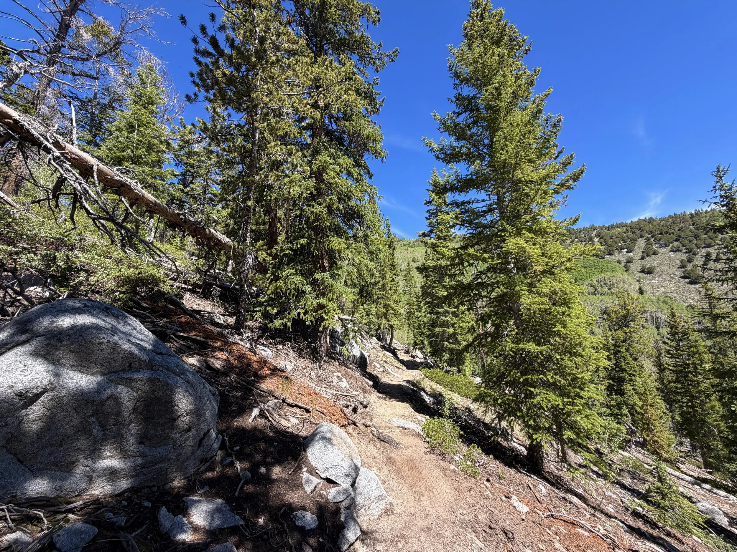 Dead Lake Trail Great Basin National Park Nevada