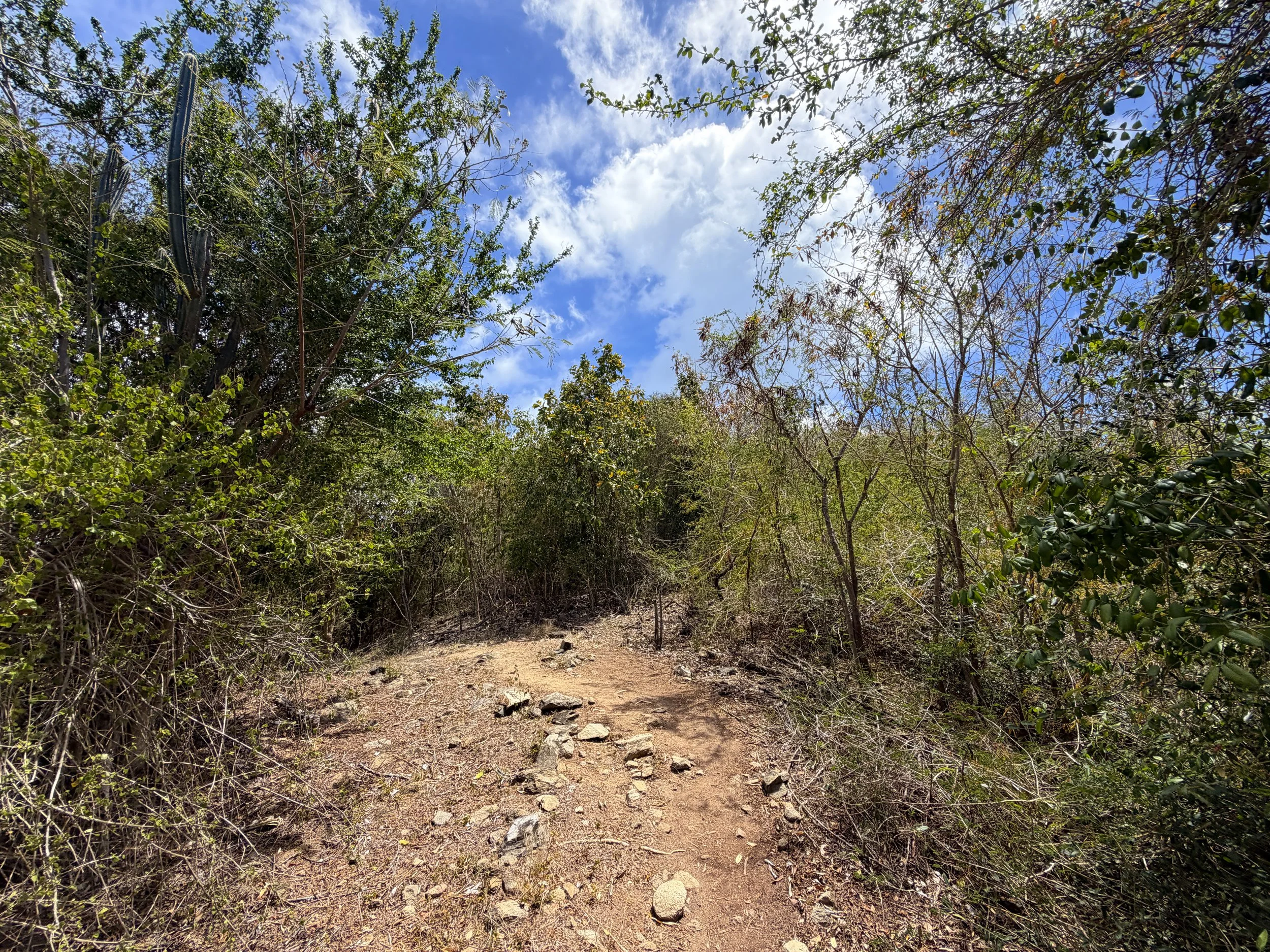Brown Bay Trail Virgin Islands National Park