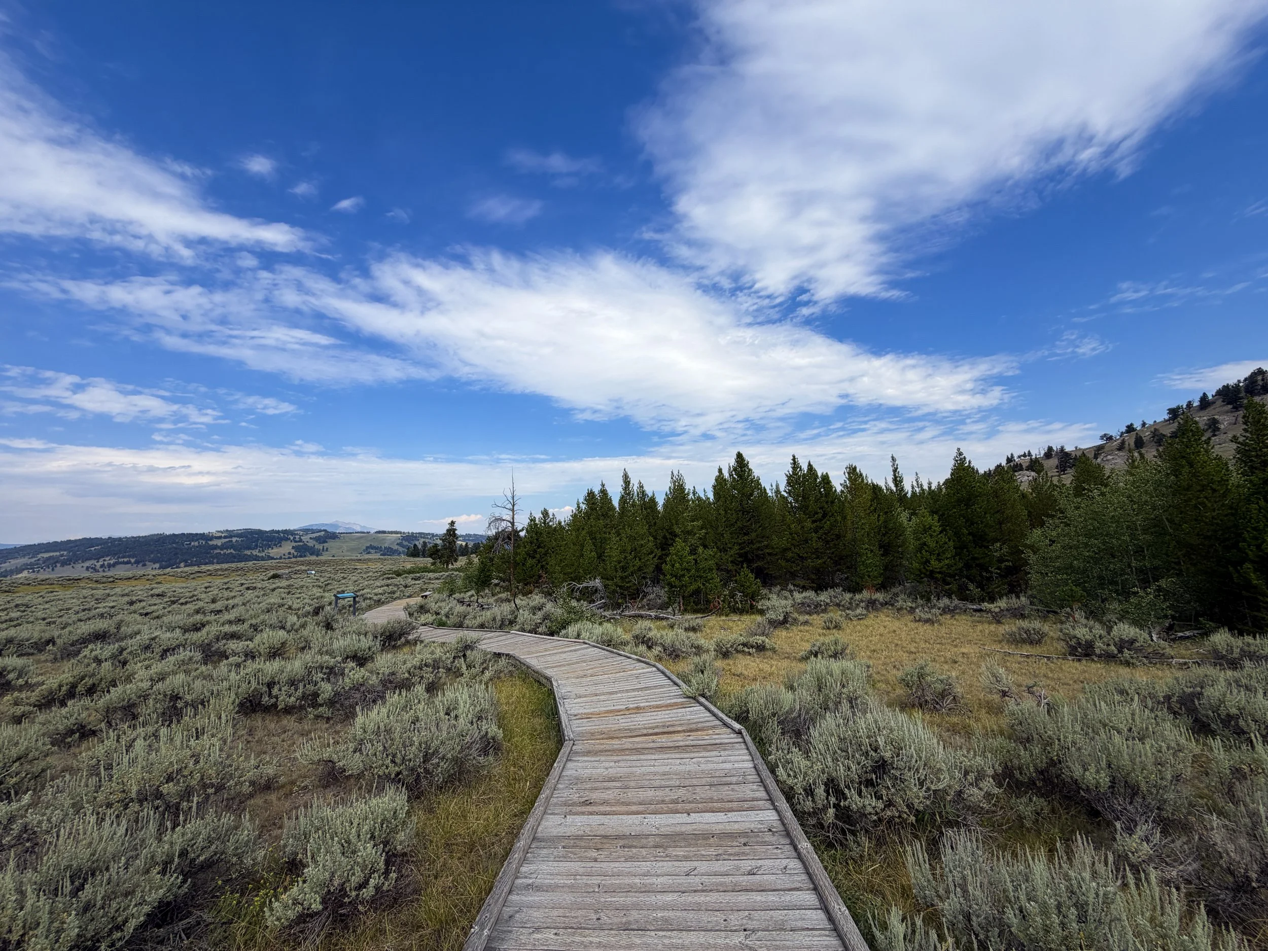 Forces of the Northern Range Trail Yellowstone National Park Wyoming