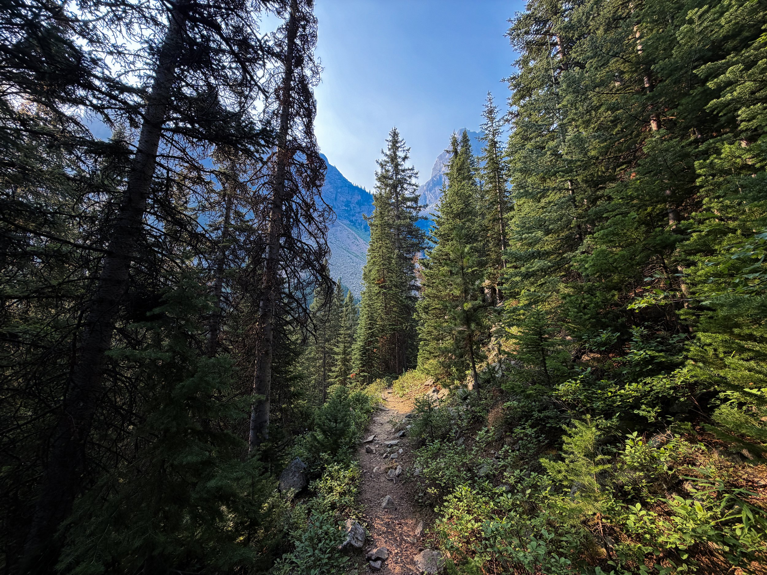 Beaten Path Trail Beartooth Mountains Montana