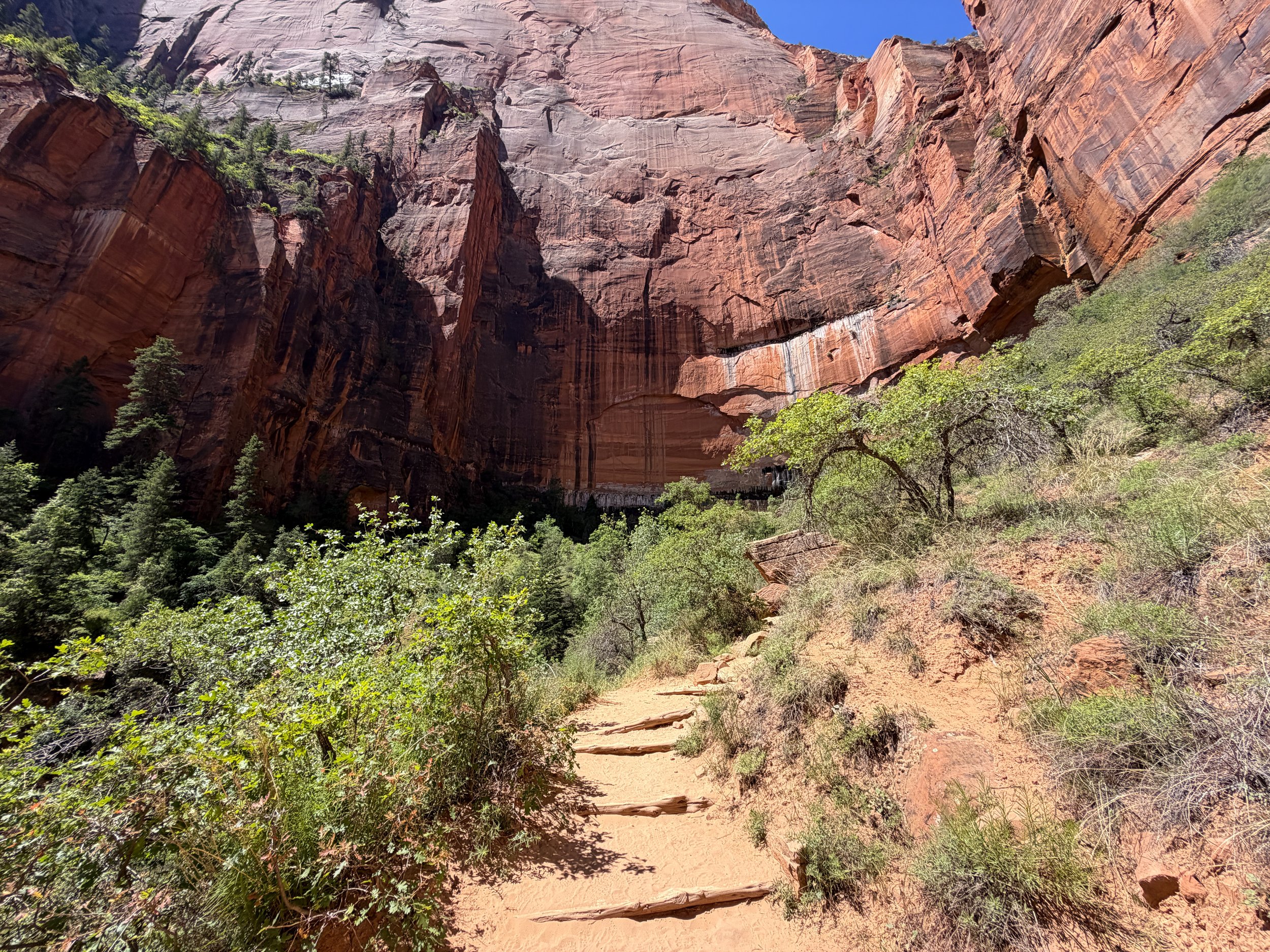 Upper Emerald Pool Trail Zion National Park Utah