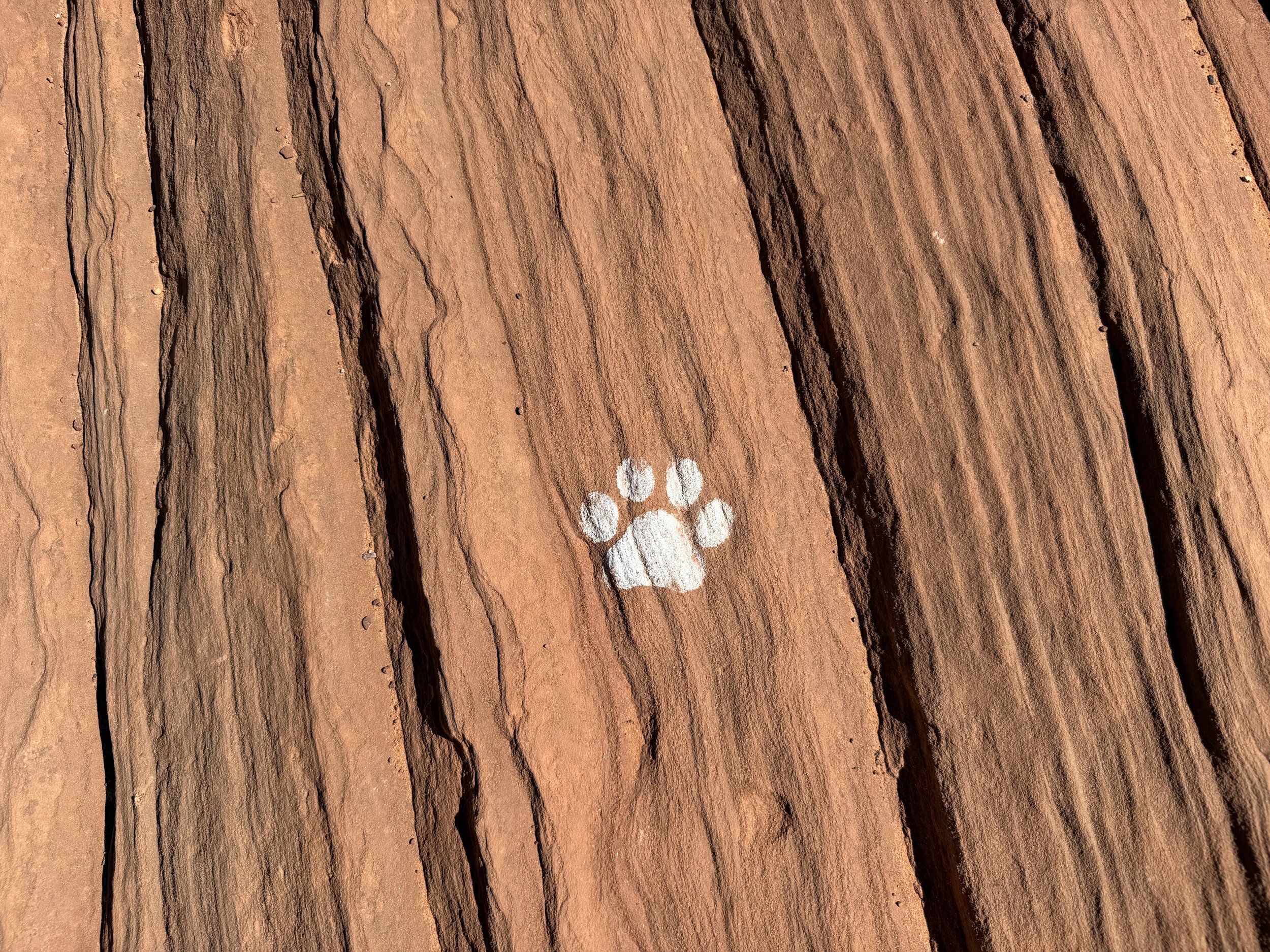 Moqui Sand Cave Trail Kanab Utah